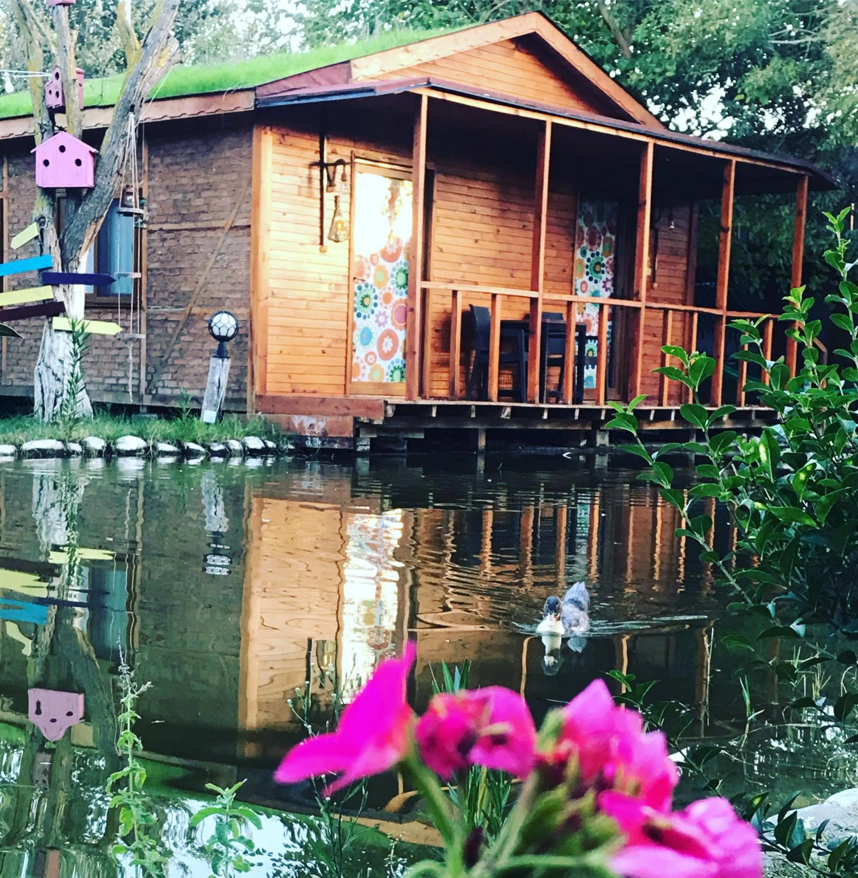 Lake view in Otantik Tas Ev