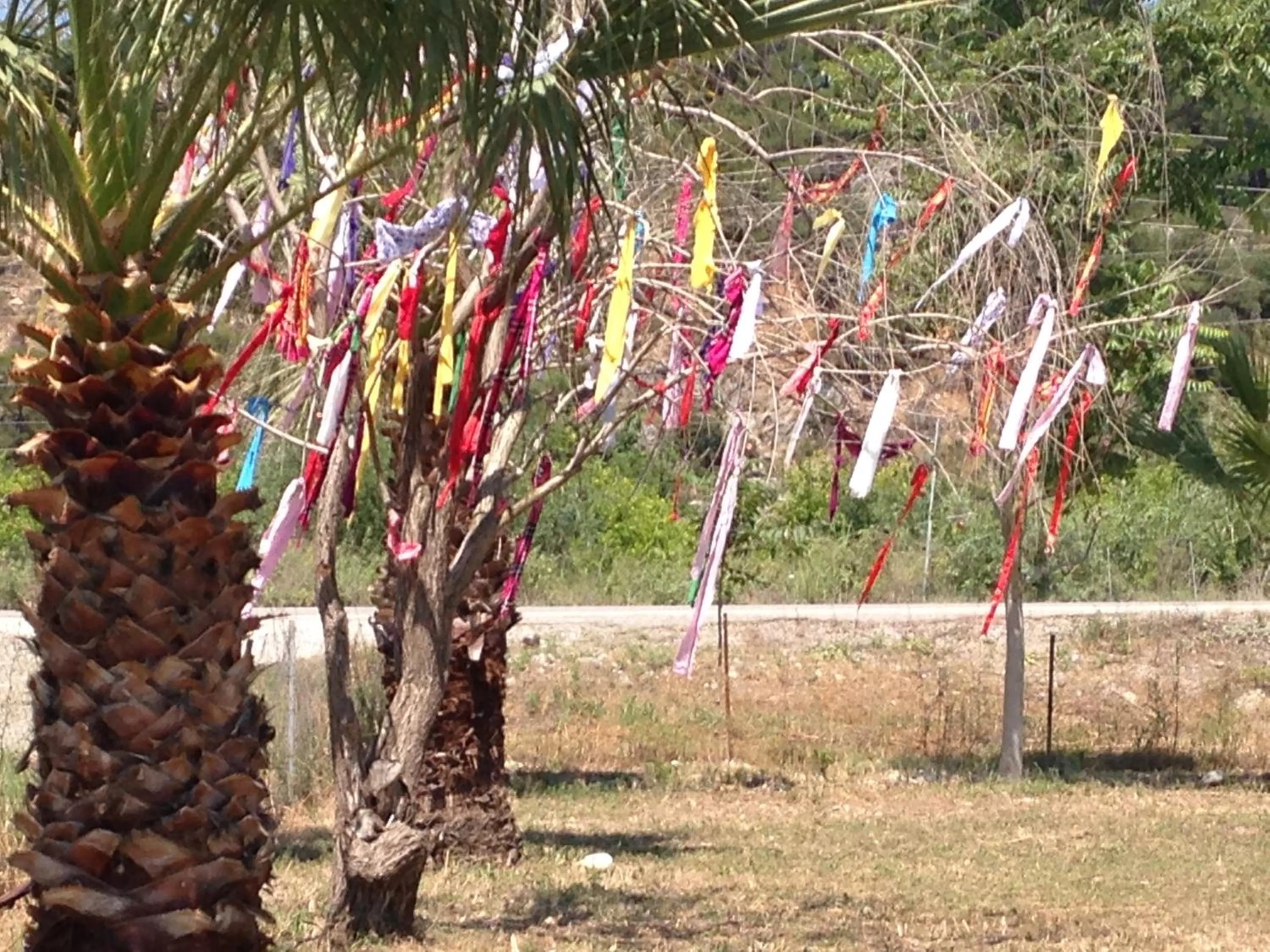 Billiard in Otantik Tas Ev