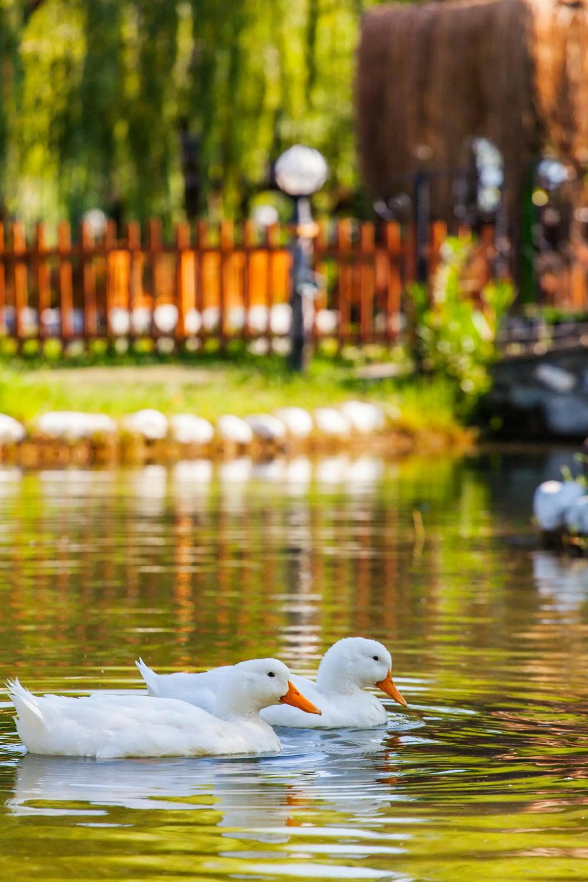 Pets in Otantik Tas Ev