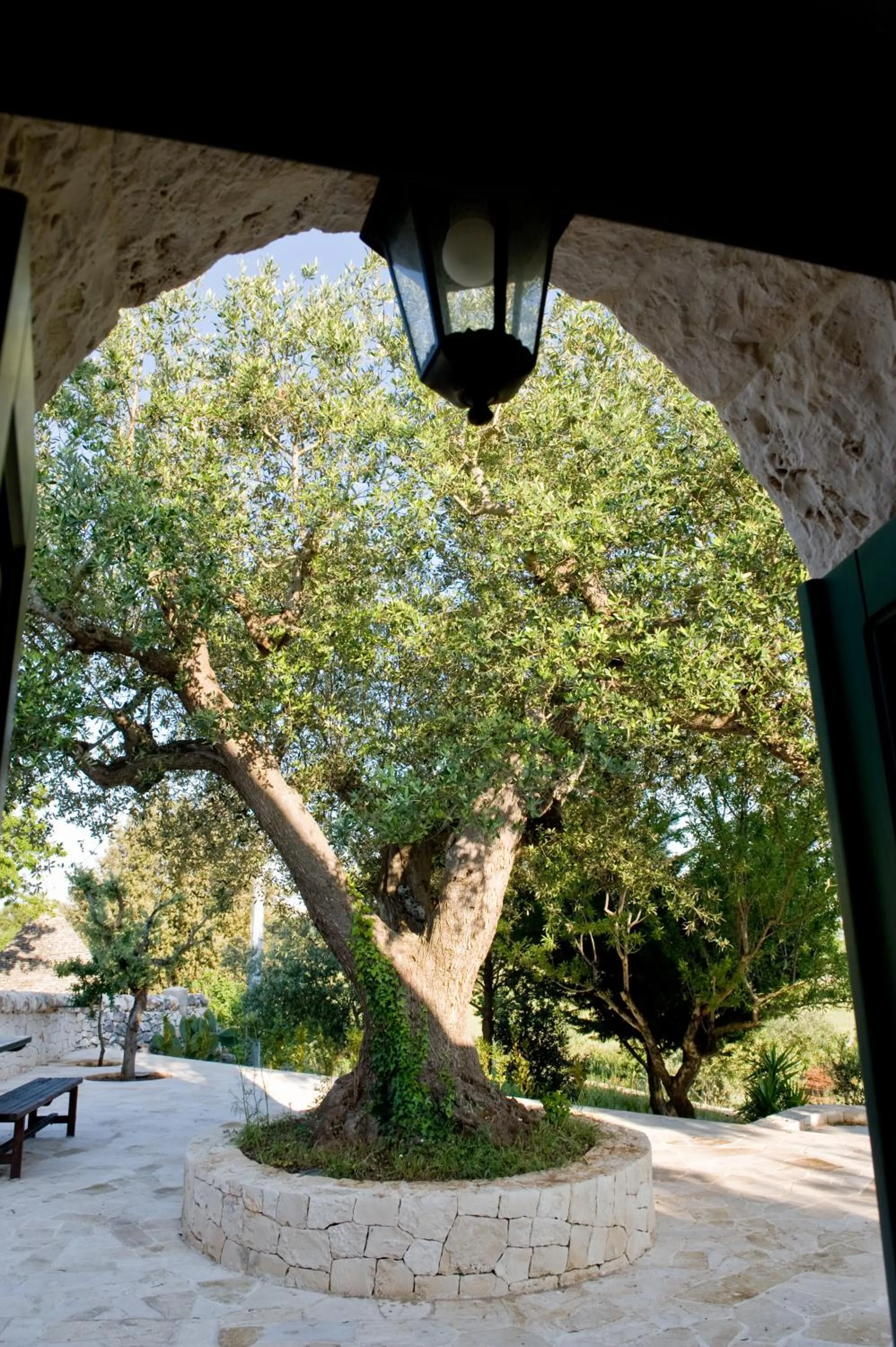 View (from property/room) in Villa Trullo Panorama
