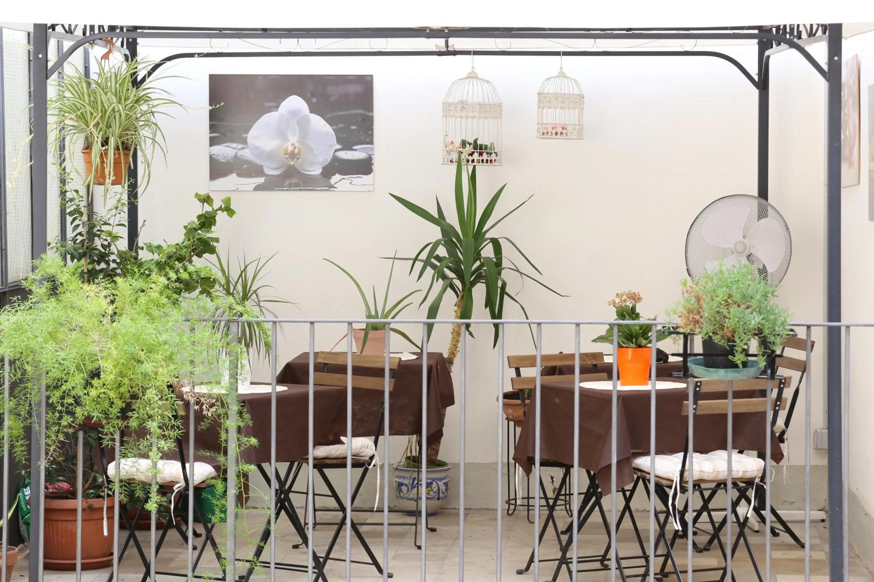 Balcony/Terrace in Casa Elide