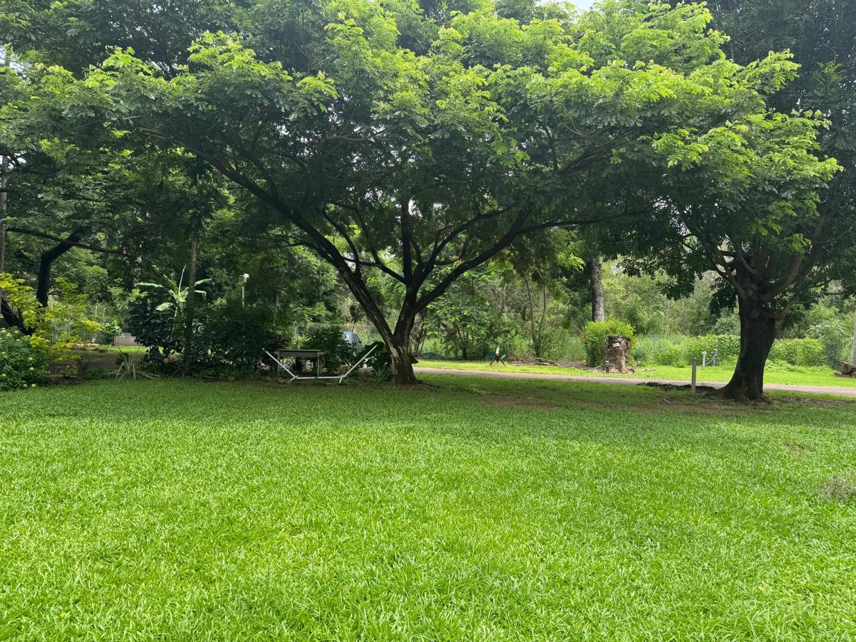 Garden in Darwin Boomerang Motel and Caravan Park
