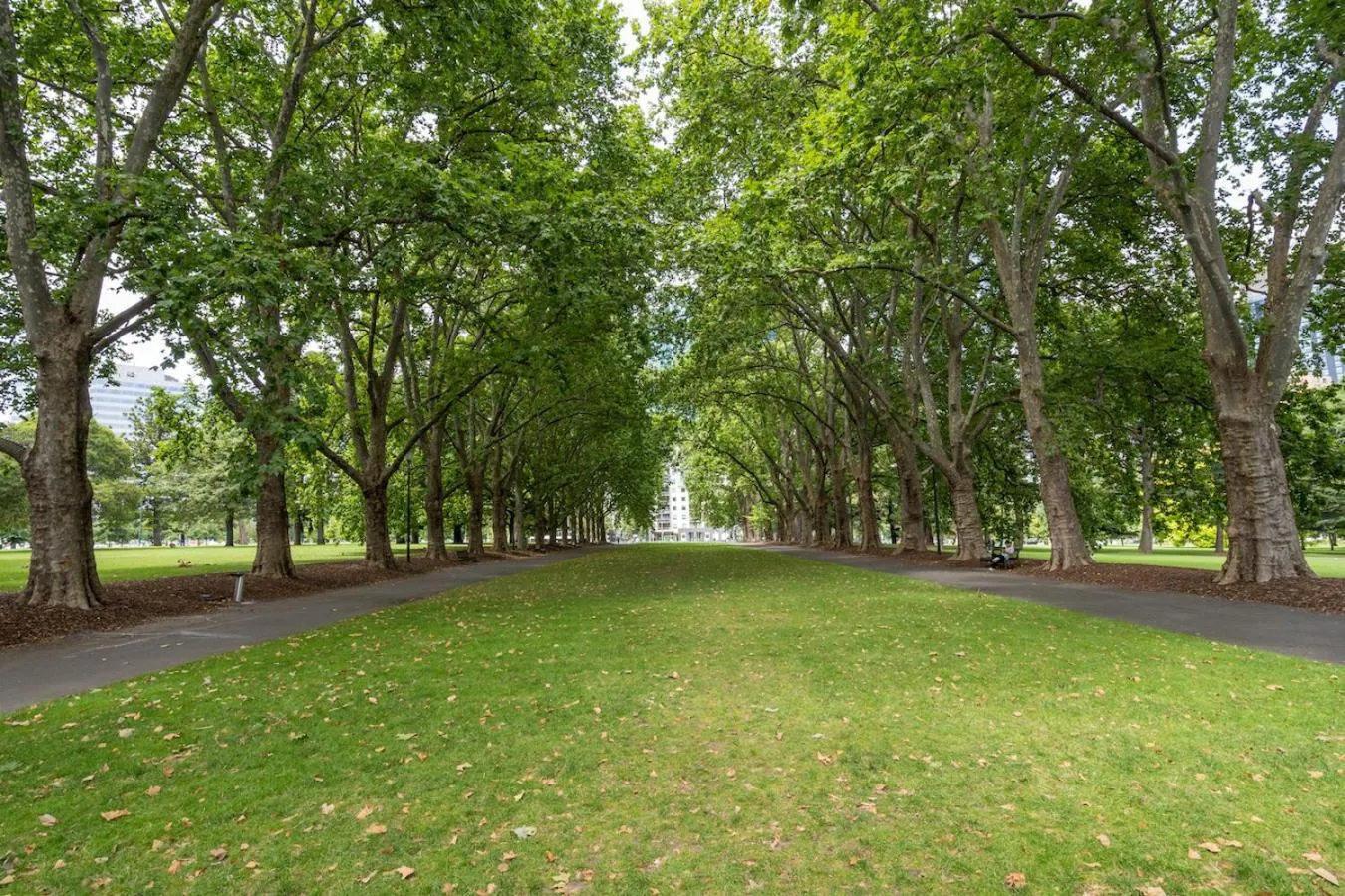 Nearby landmark in StayCentral - Oasis on Mackenzie (CBD)