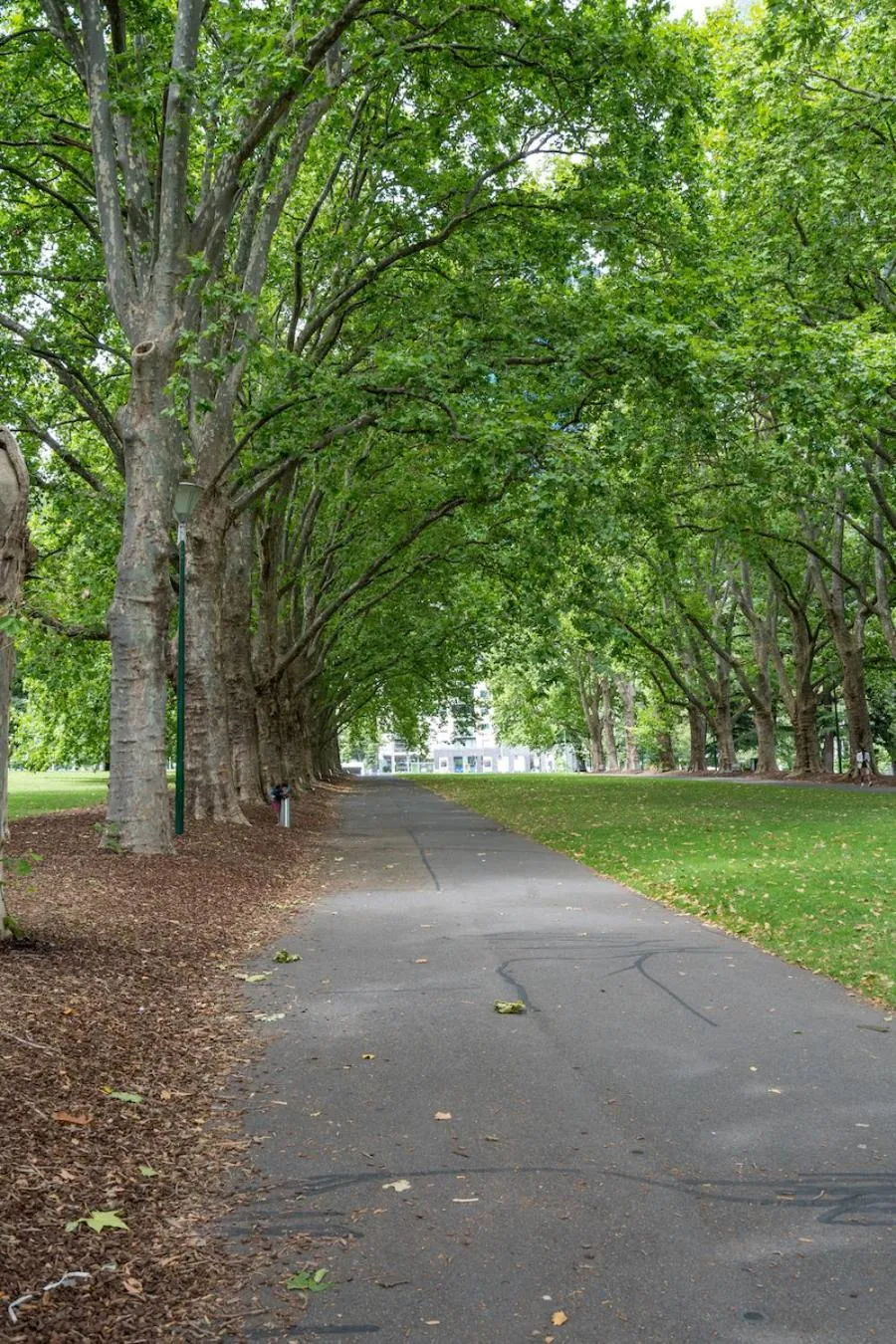 Neighbourhood in StayCentral - Oasis on Mackenzie (CBD)