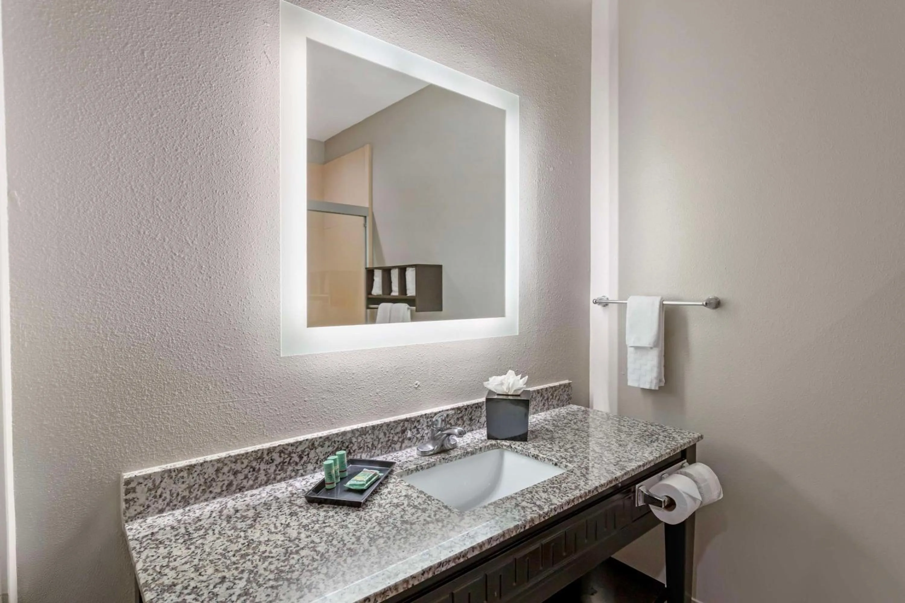 Bathroom in Best Western Casino Inn