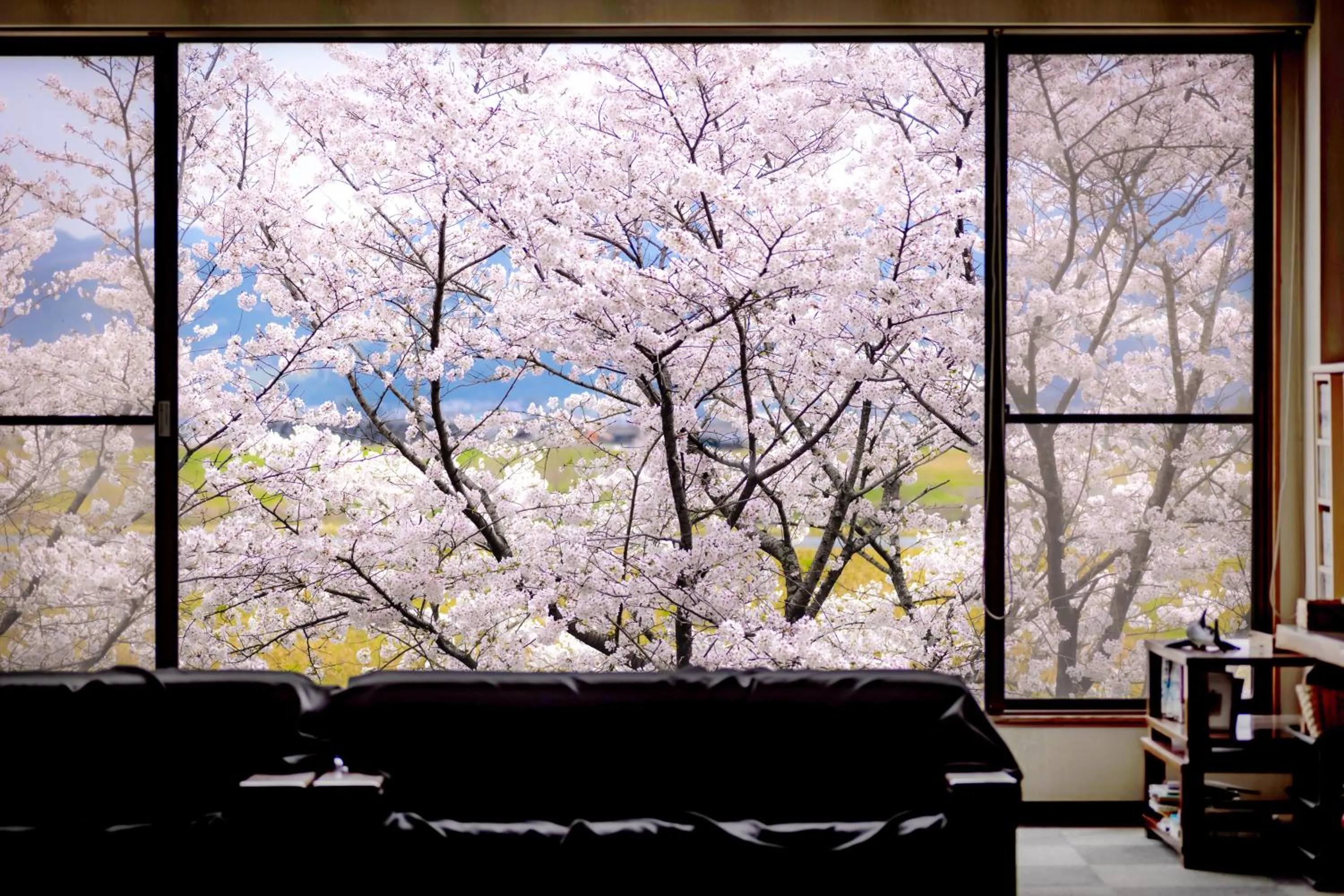 Lobby or reception in Ryokan Toyotomi