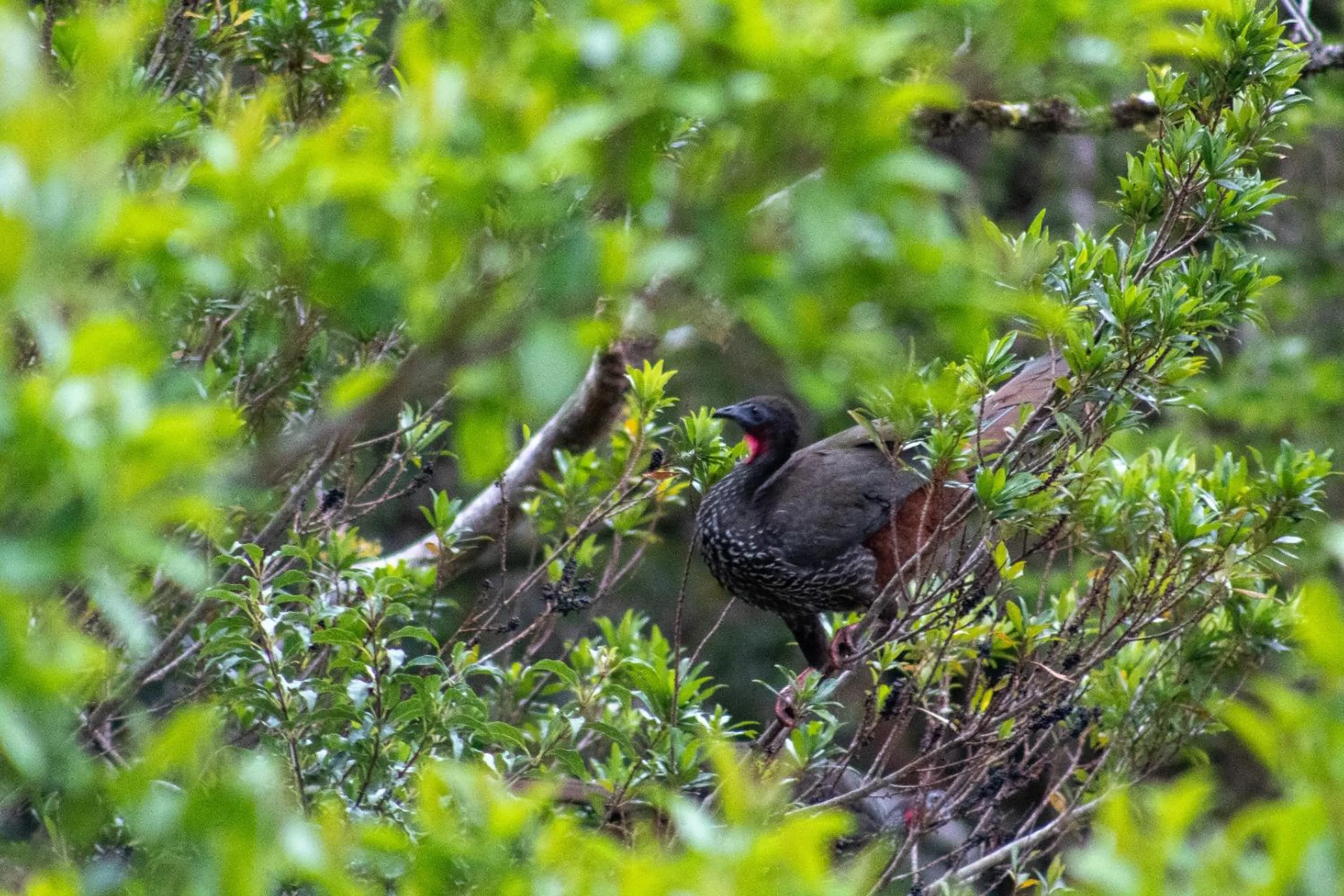 Day in Fondavela Hotel