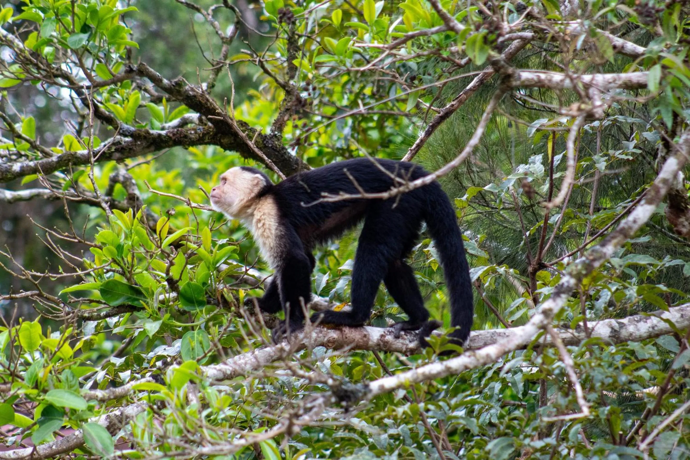 Day in Fondavela Hotel
