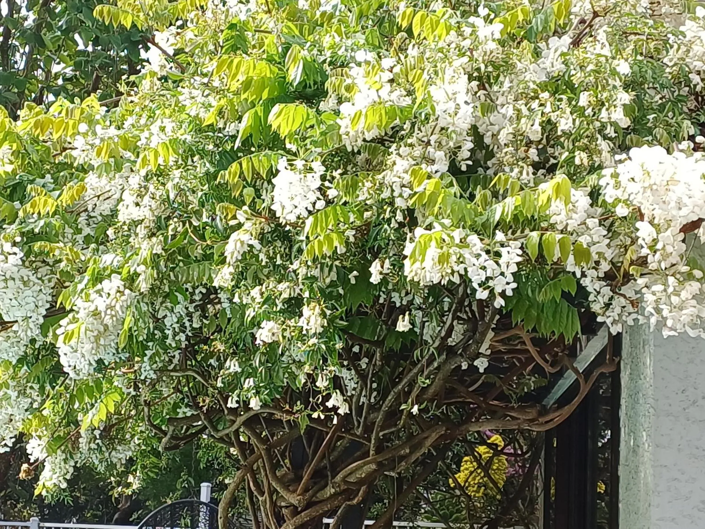 Ashcroft Gardens Bed & Breakfast