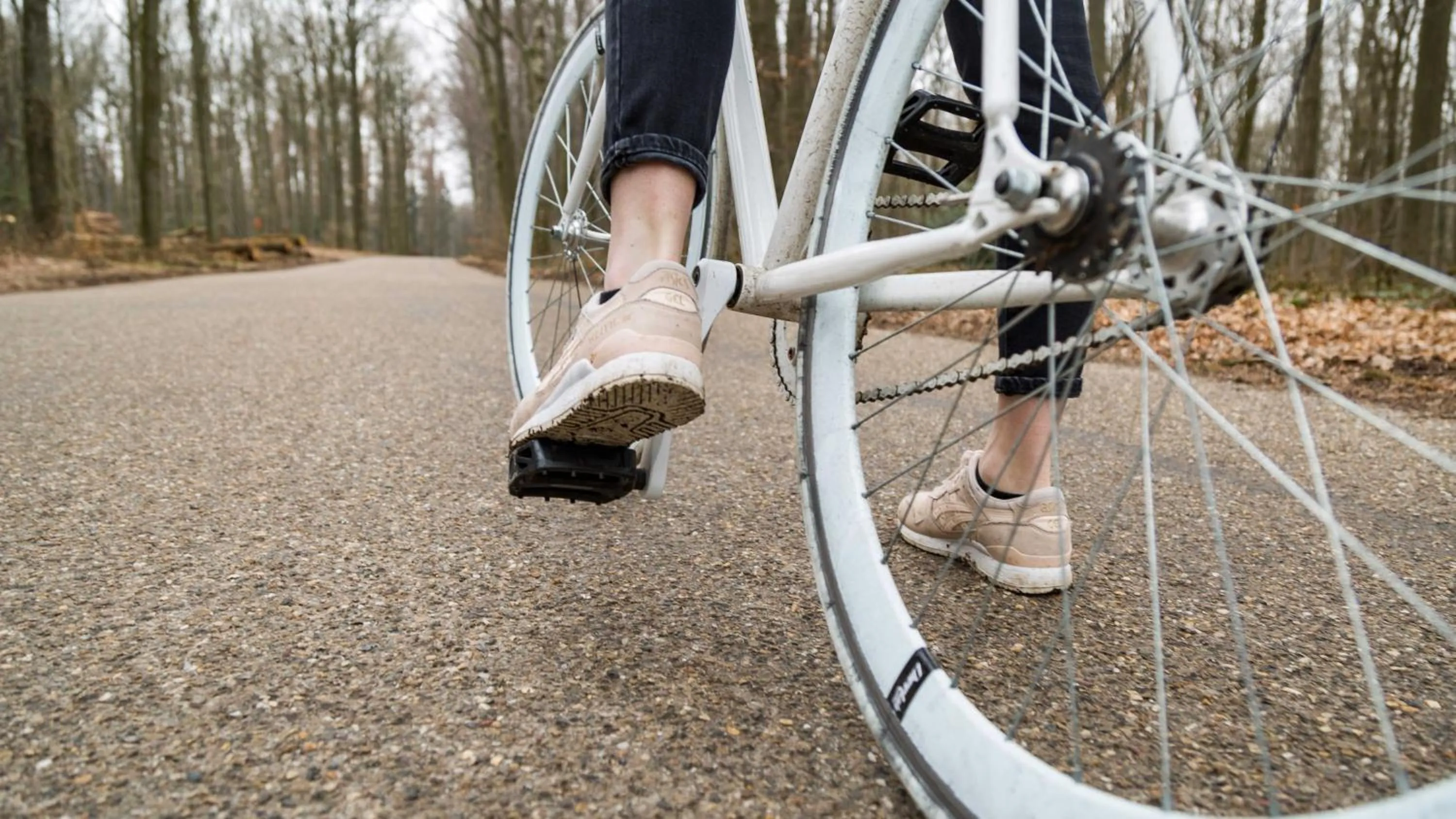 Natural landscape in Hotel - Restaurant De 4 Jaargetijden