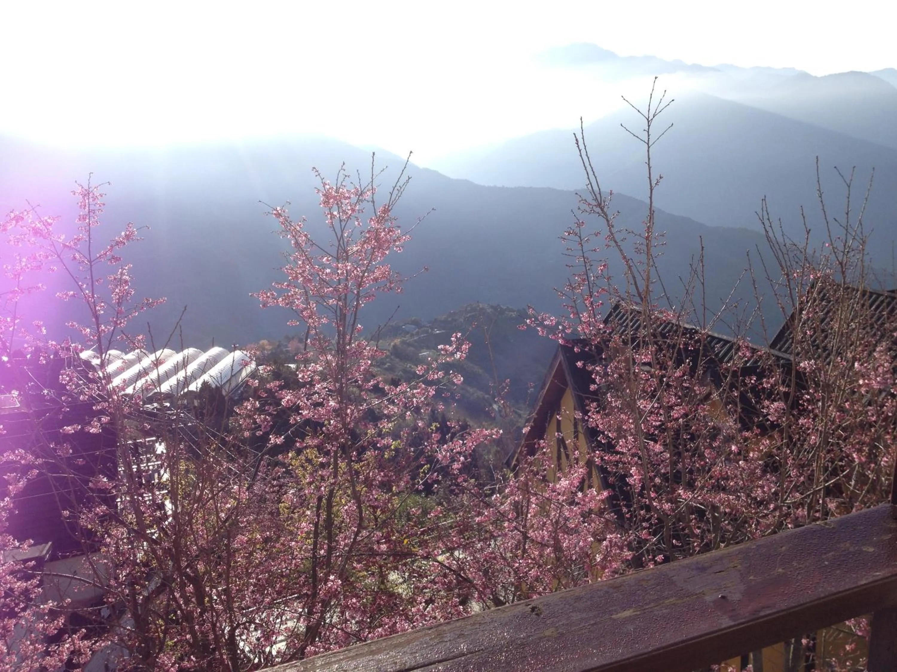 Day in The Cotswolds Villa