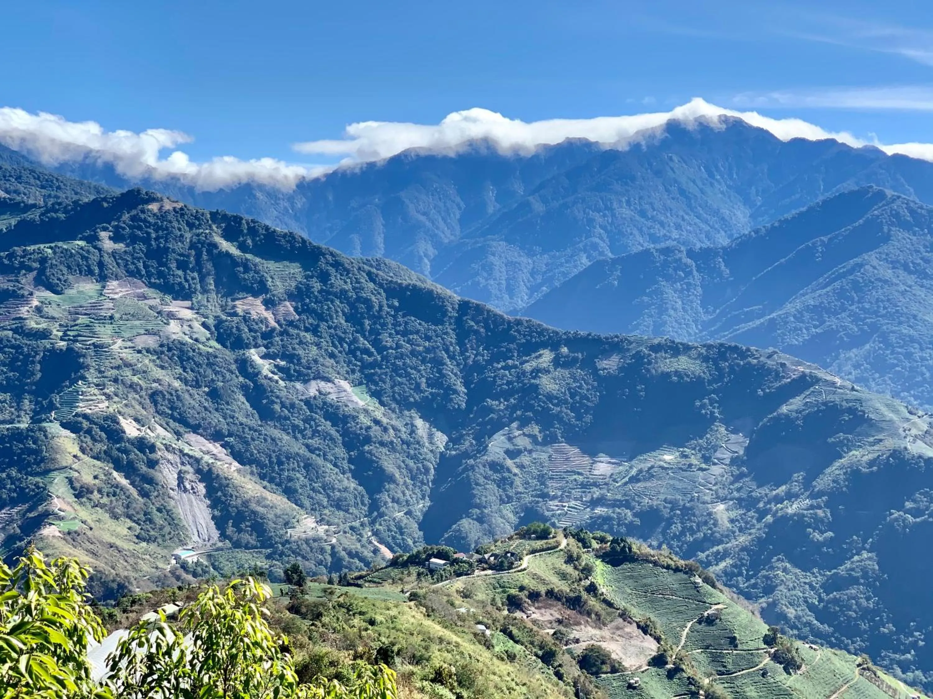 Natural landscape in The Cotswolds Villa