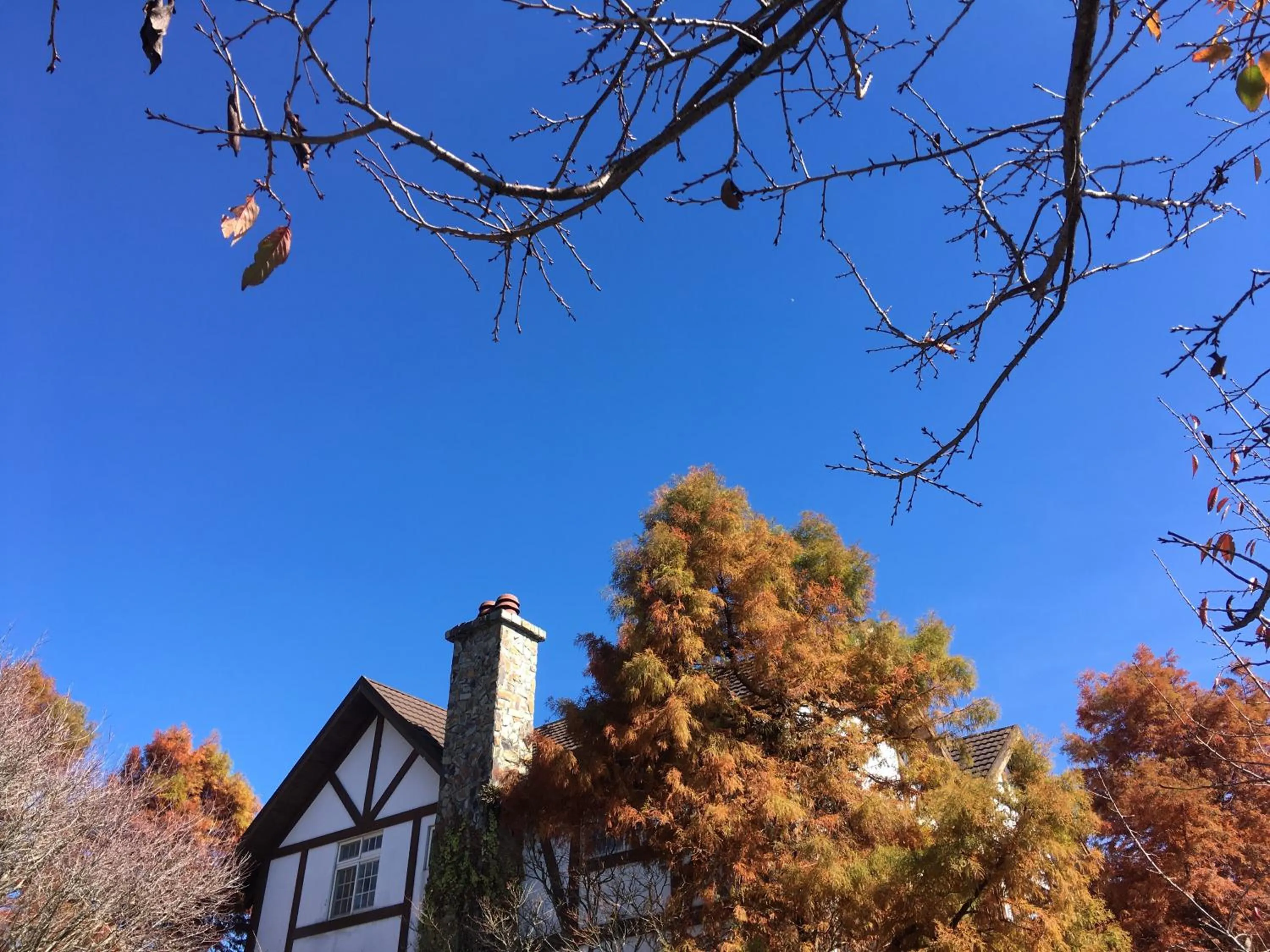 Facade/entrance in The Cotswolds Villa