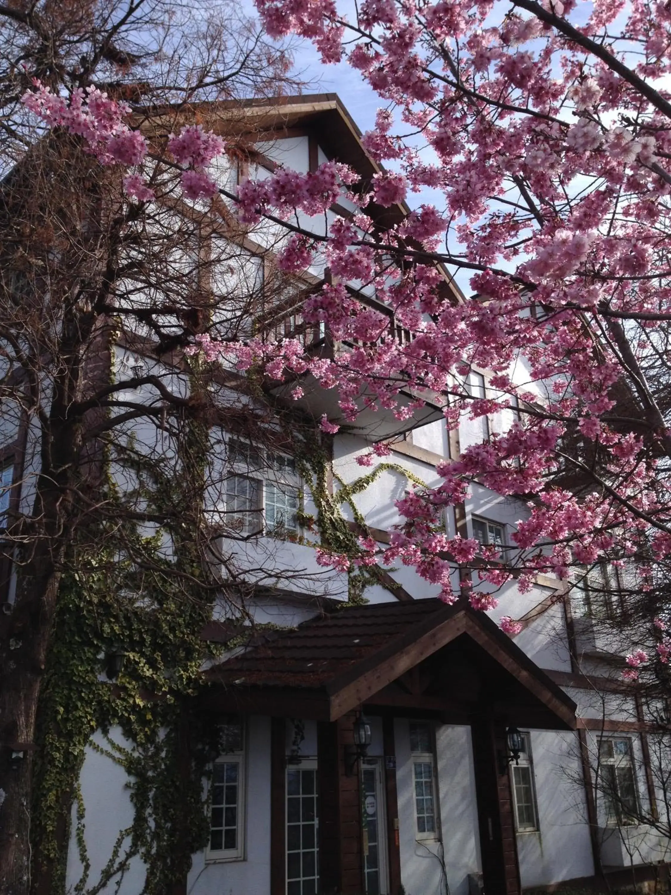Property building in The Cotswolds Villa Property building in The Cotswolds Villa