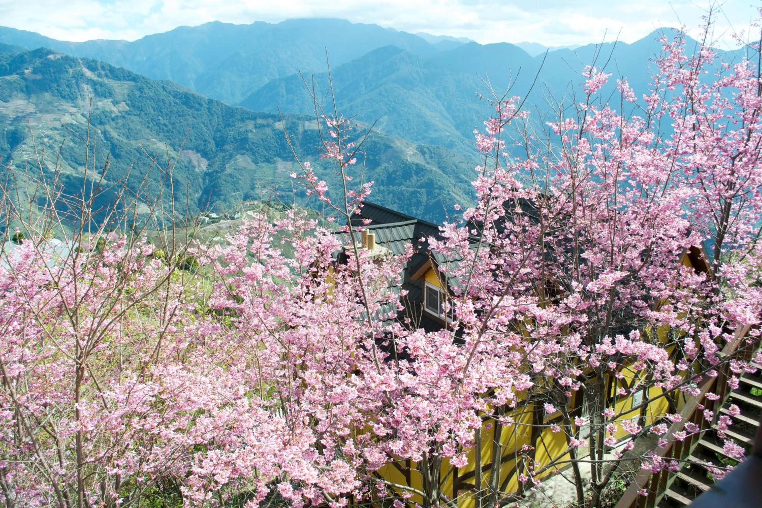 Day in The Cotswolds Villa