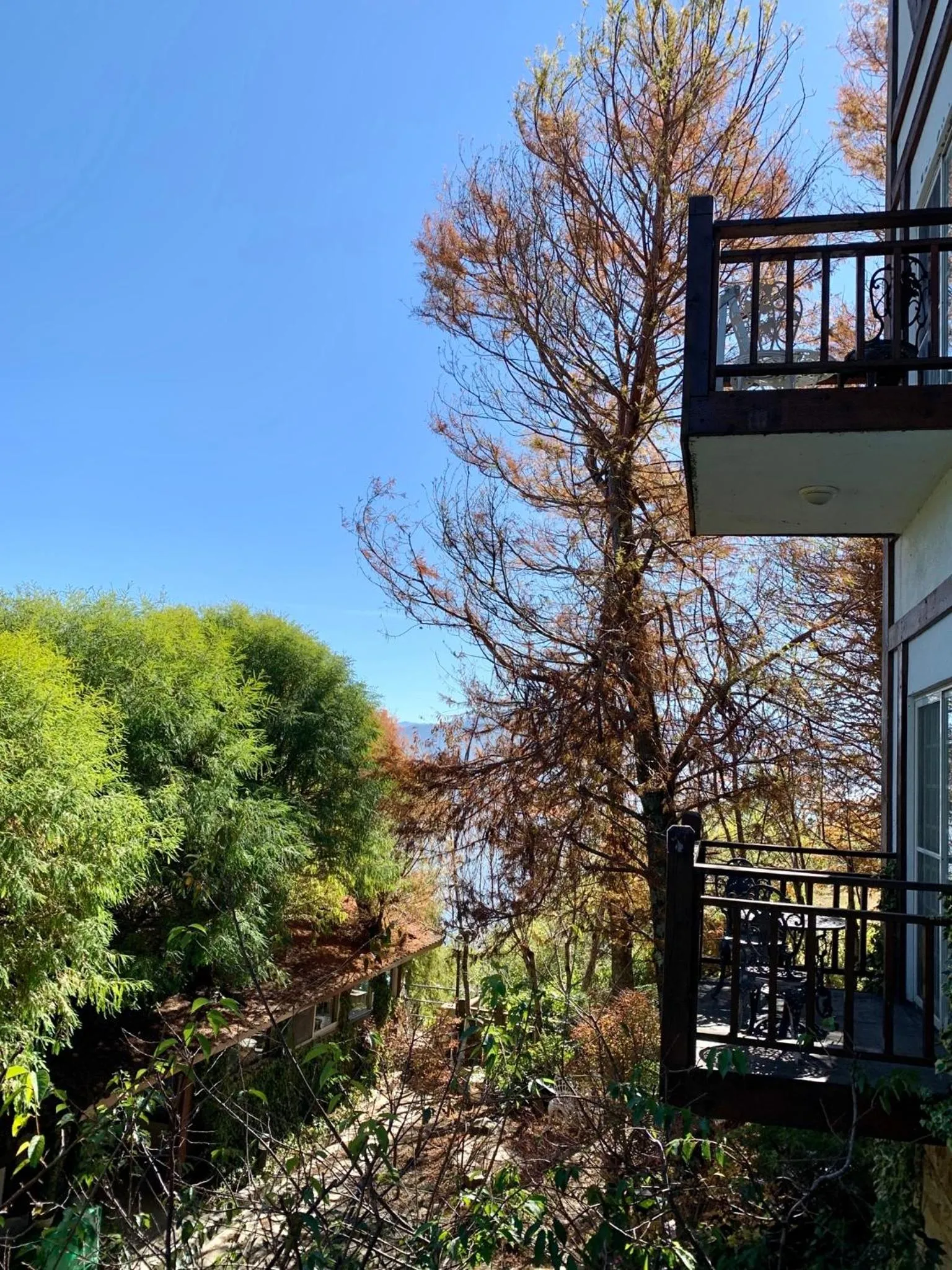 Natural landscape in The Cotswolds Villa