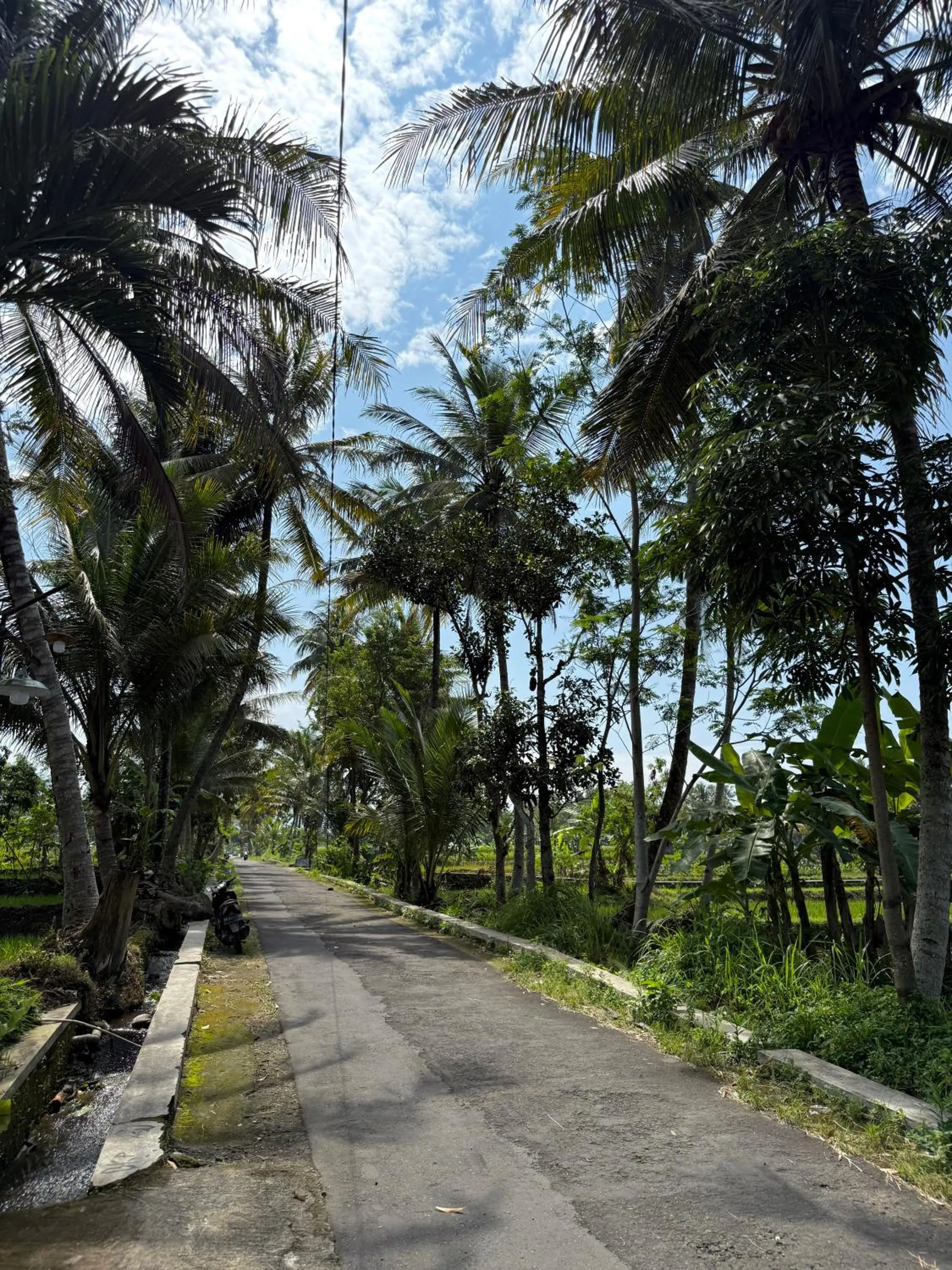 Villa Padi Cangkringan