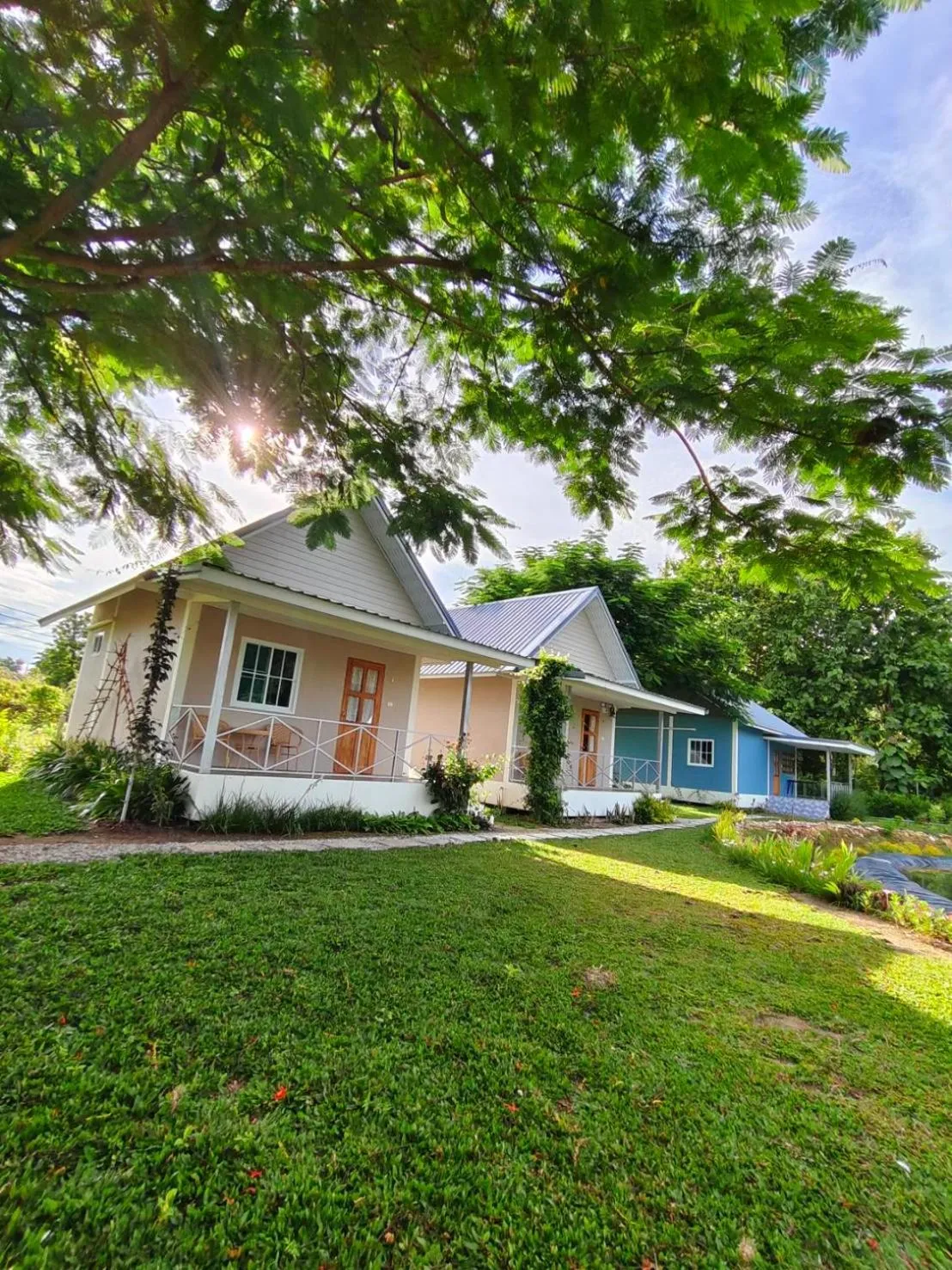 Garden view in Chiang Khan Dwelling