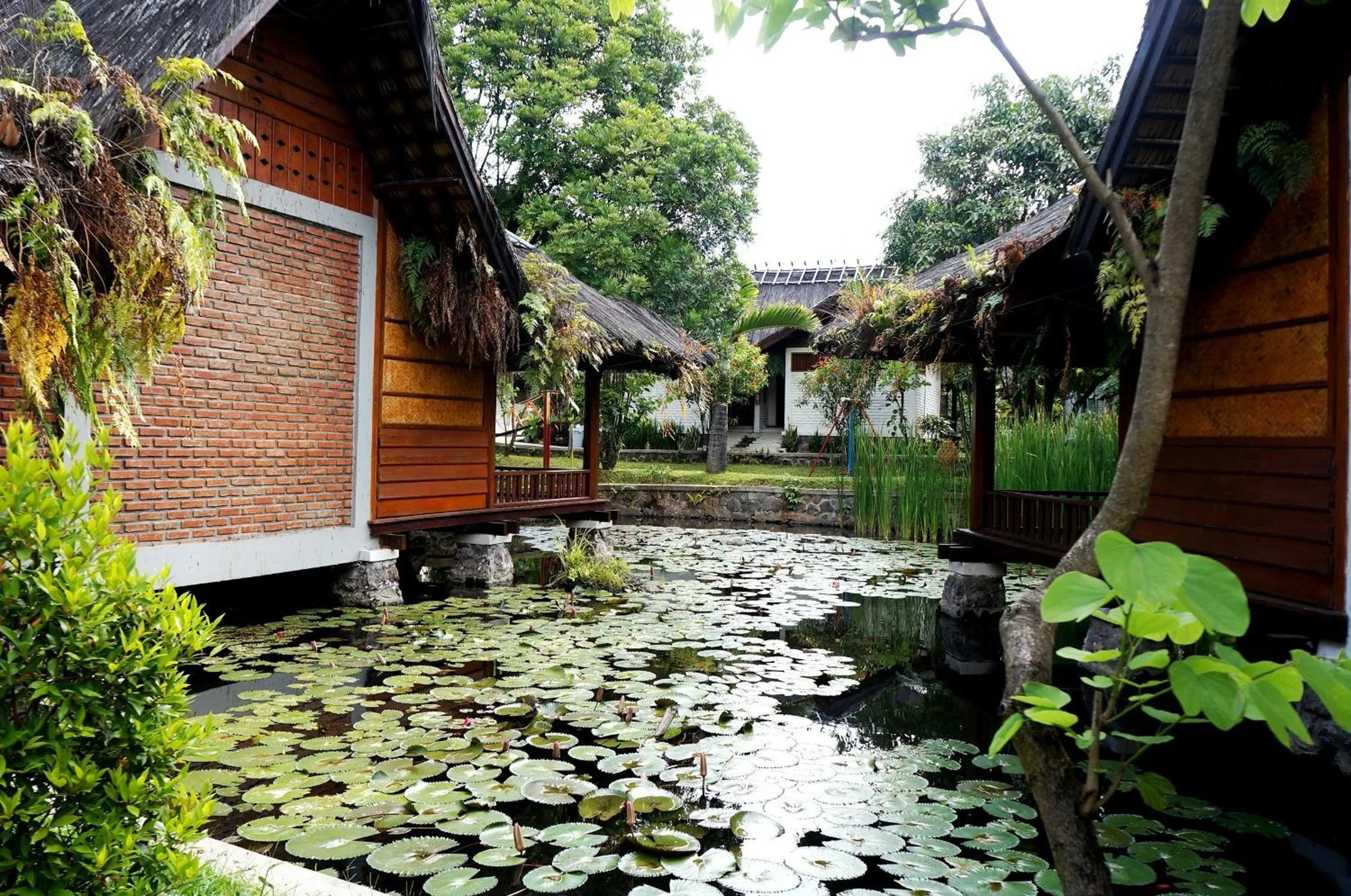 Area and facilities in Kampung Sumber Alam Garut