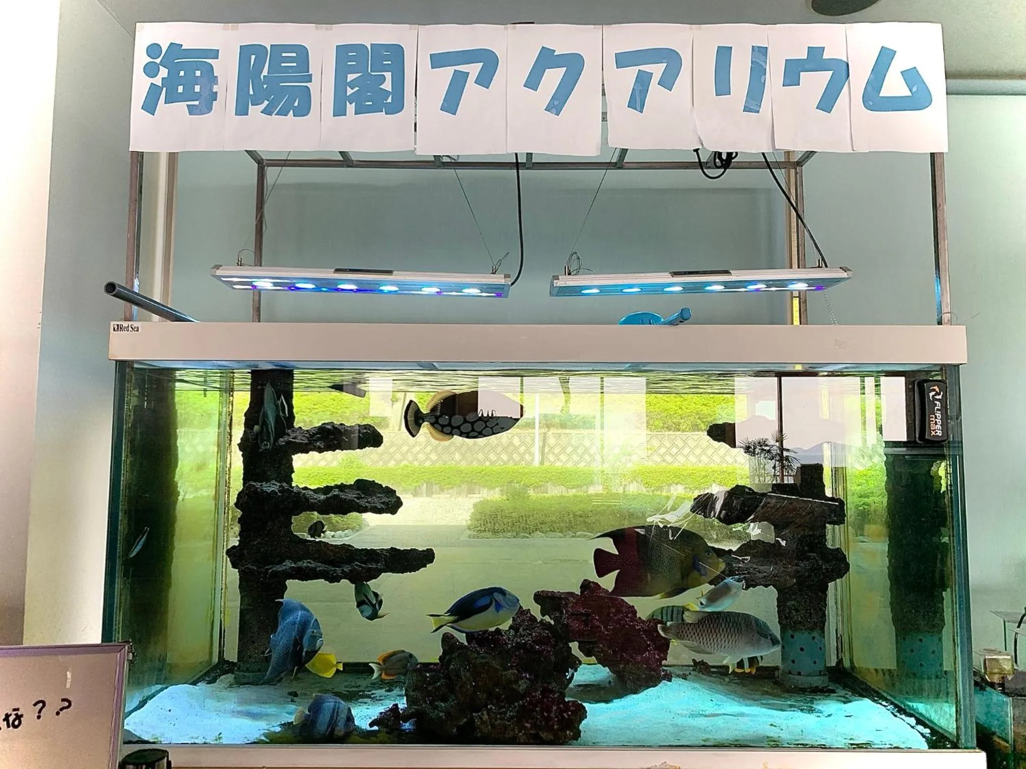 Area and facilities in Kaiyoukaku