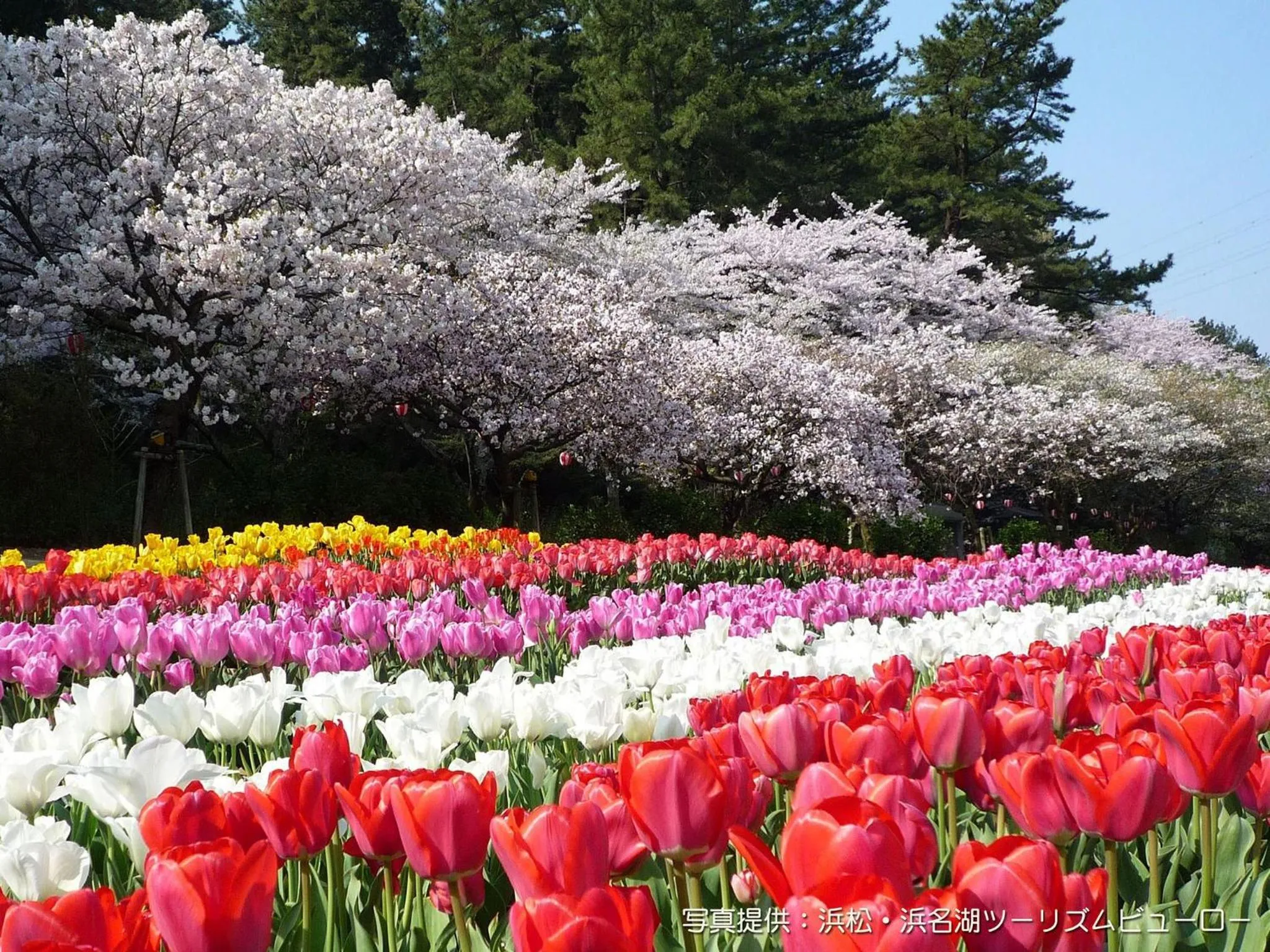 Grand Hotel Hamamatsu