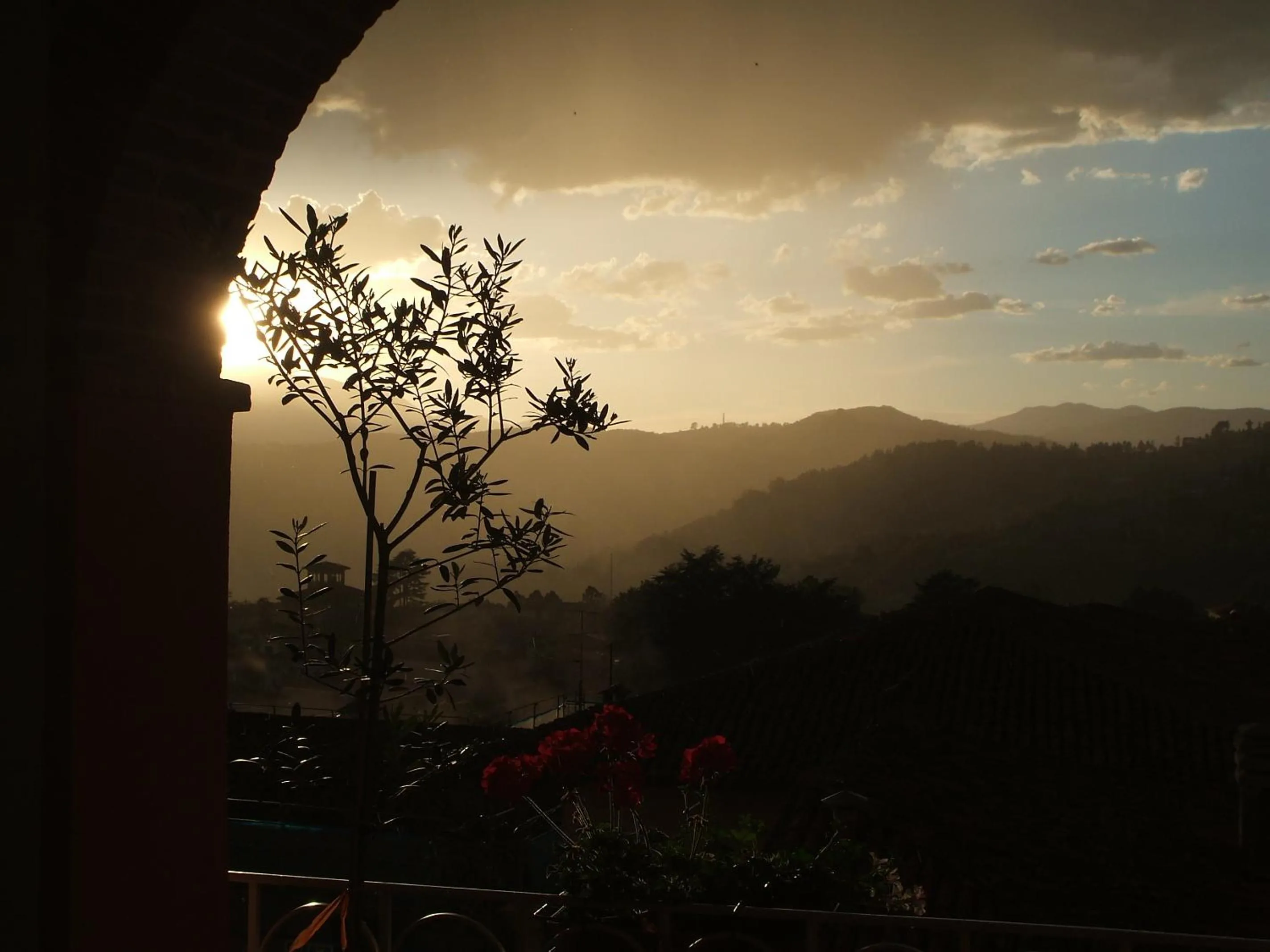 Night in Nel Cielo... di Barga