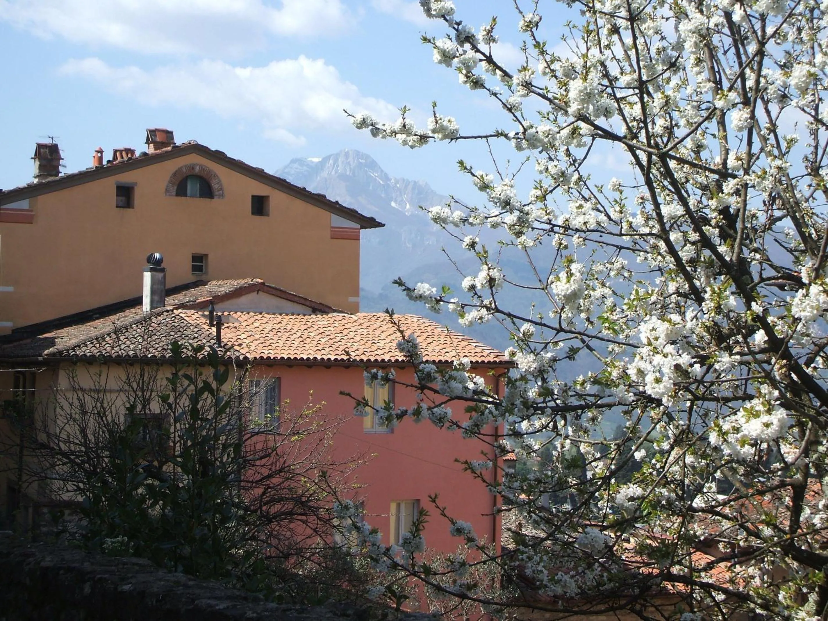 Property building in Nel Cielo... di Barga