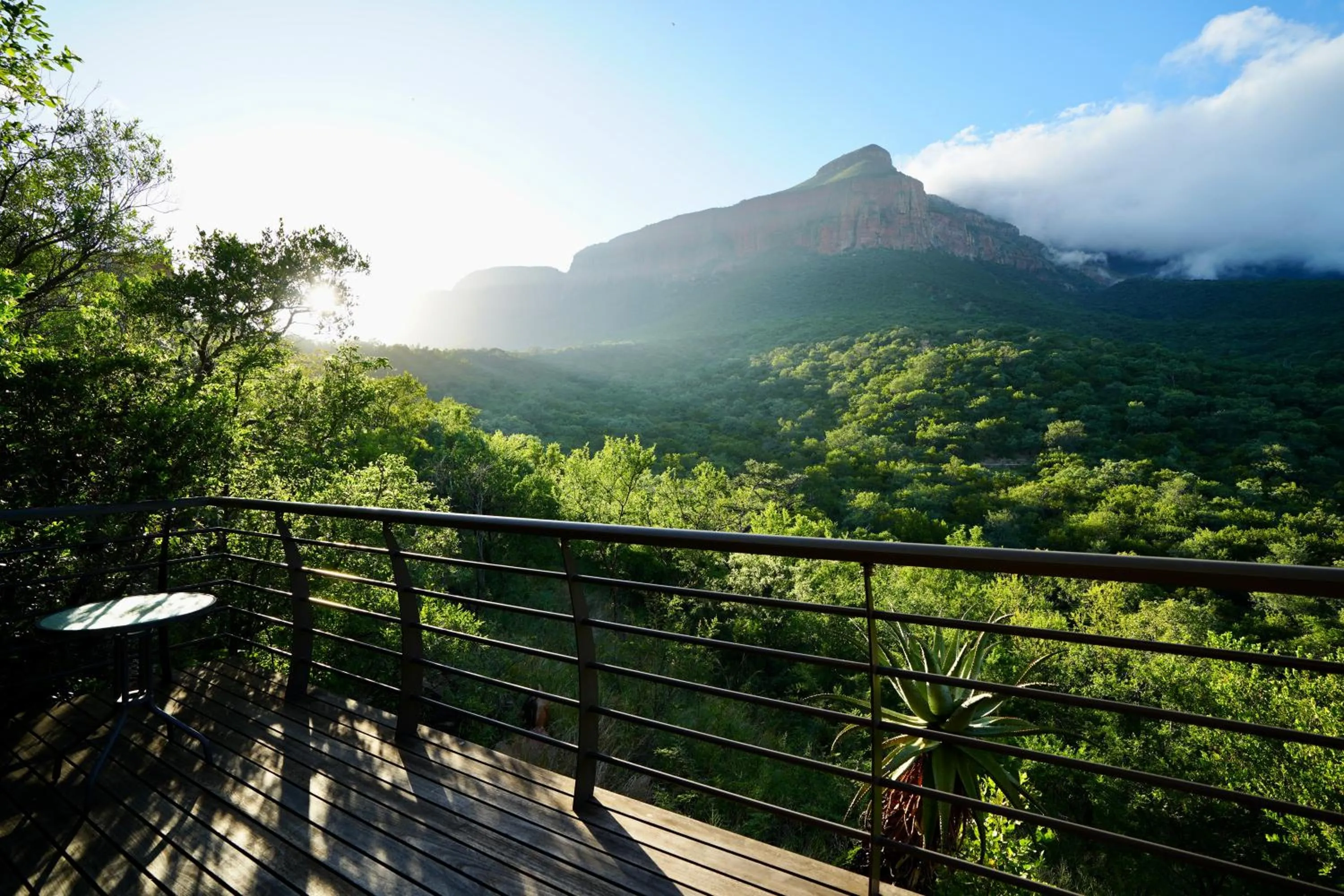 View (from property/room) in umVangati House