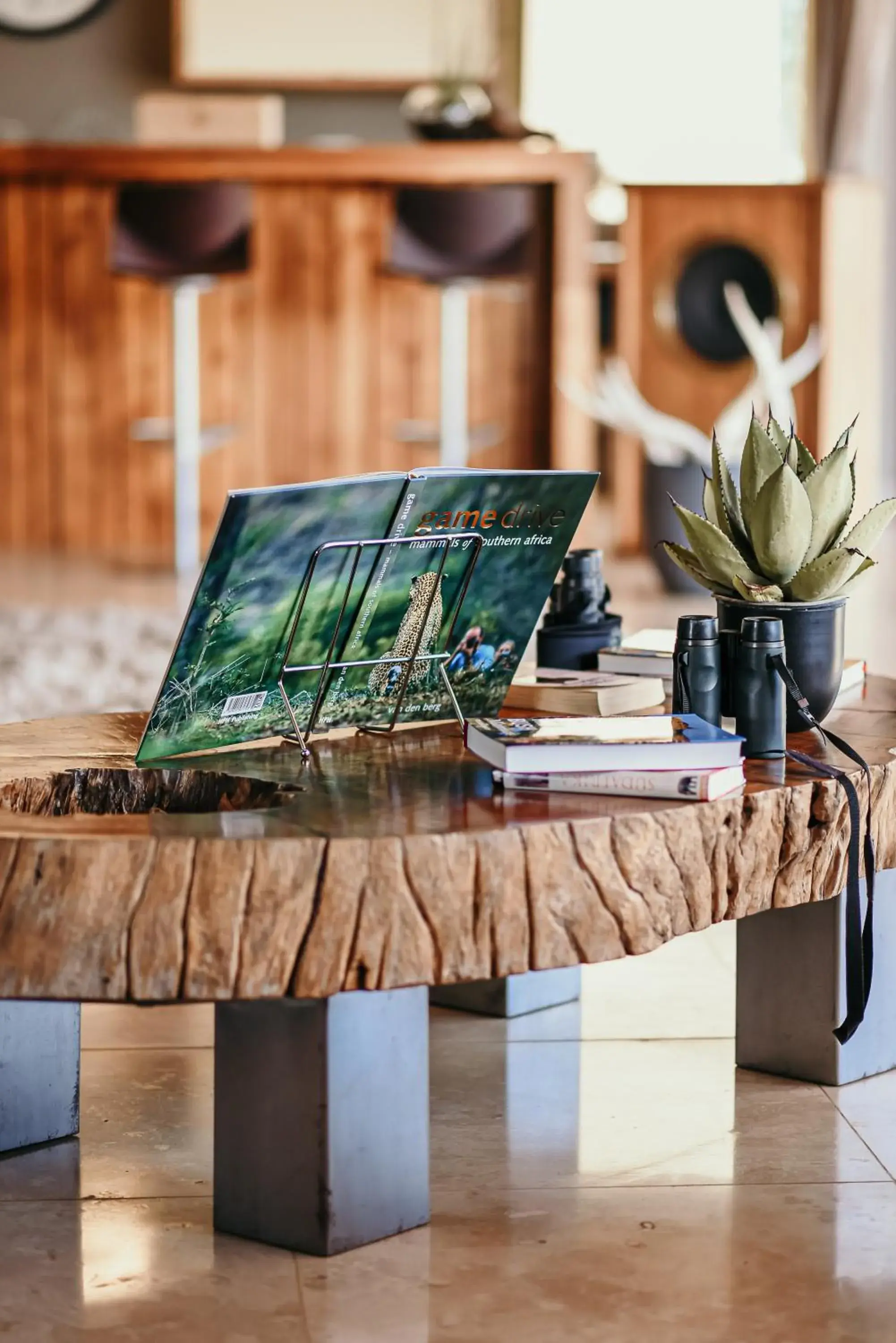 Lounge or bar in umVangati House Lounge or bar in umVangati House