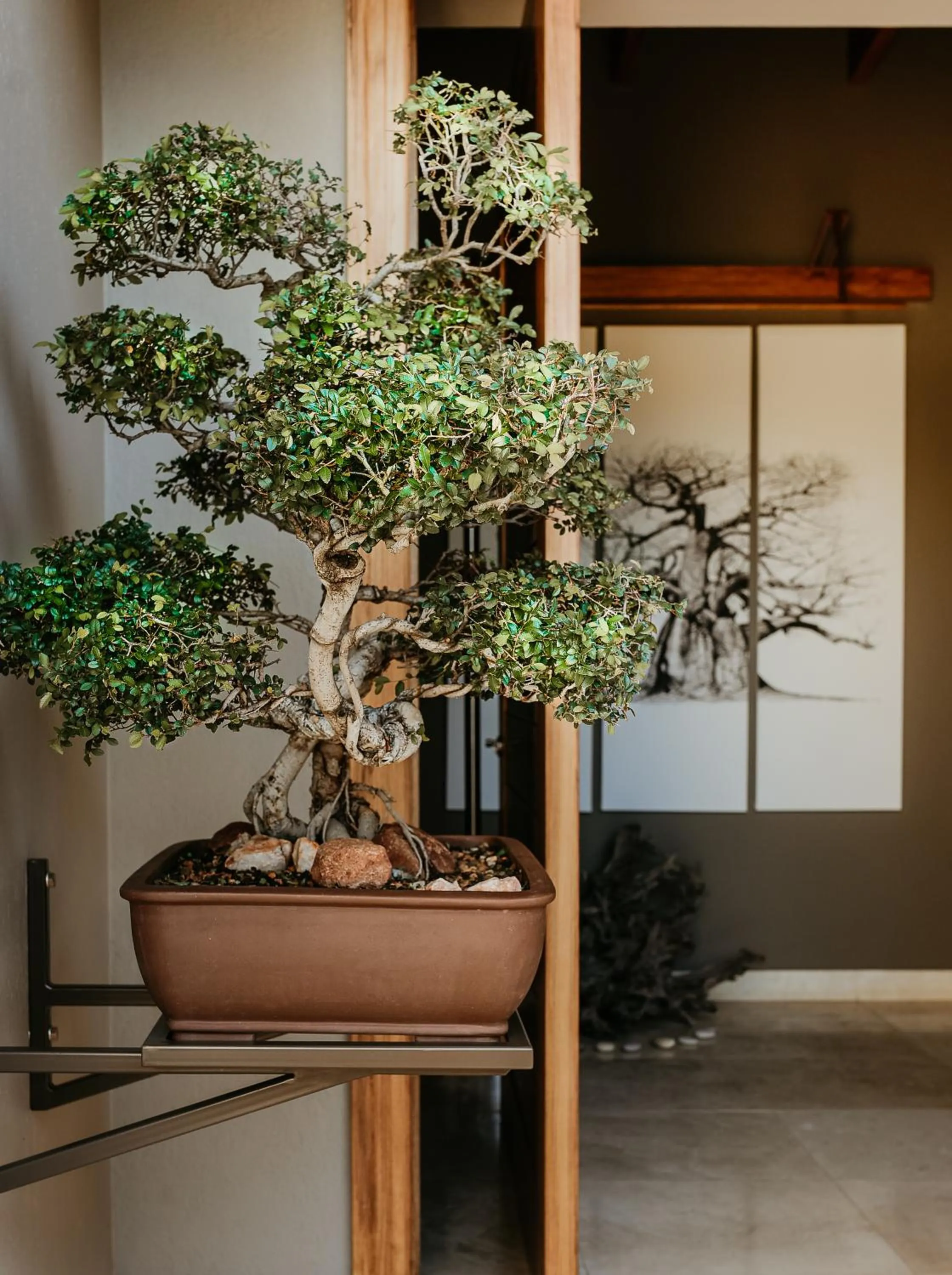 Property building in umVangati House