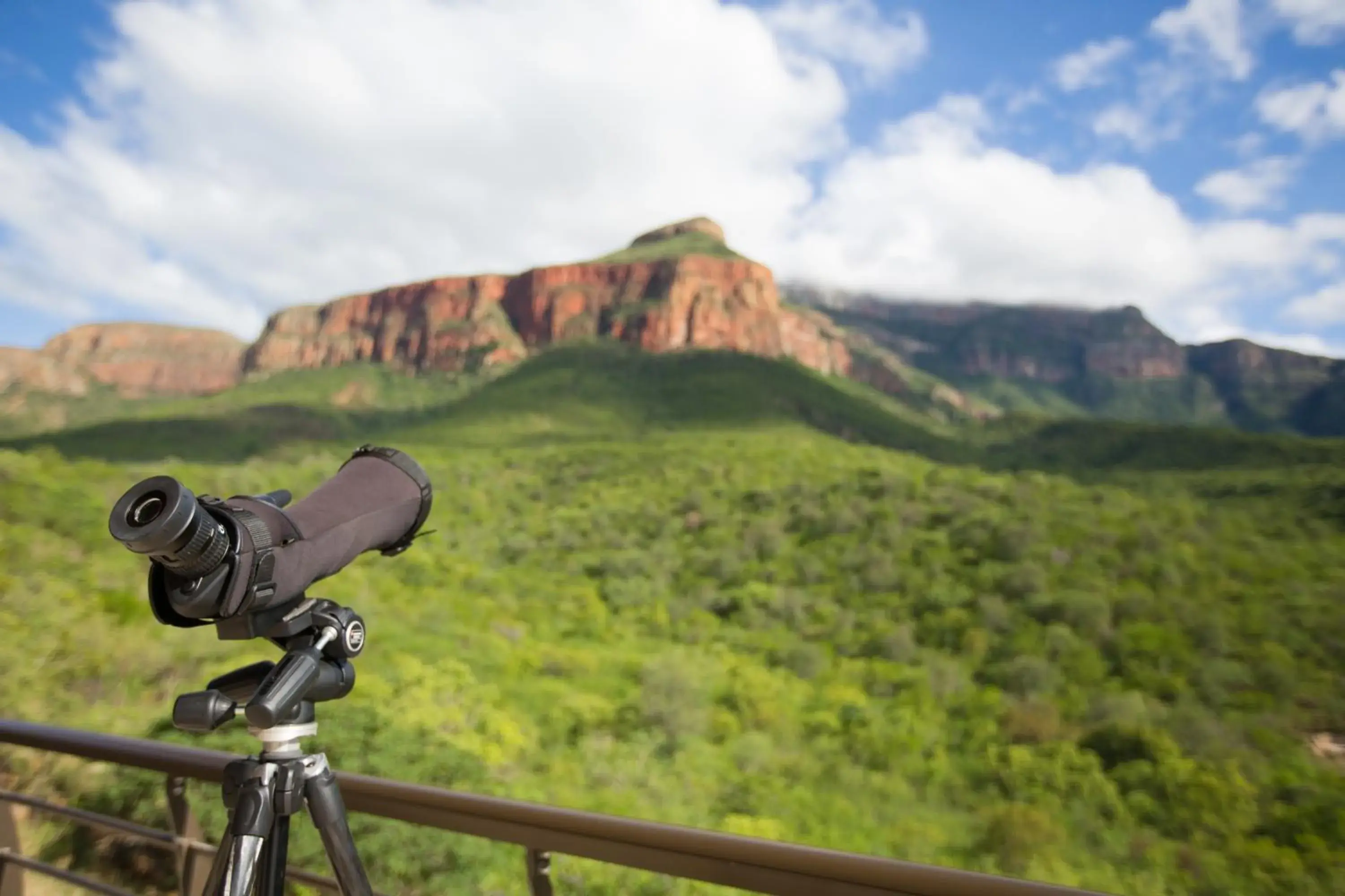 View (from property/room) in umVangati House View (from property/room) in umVangati House