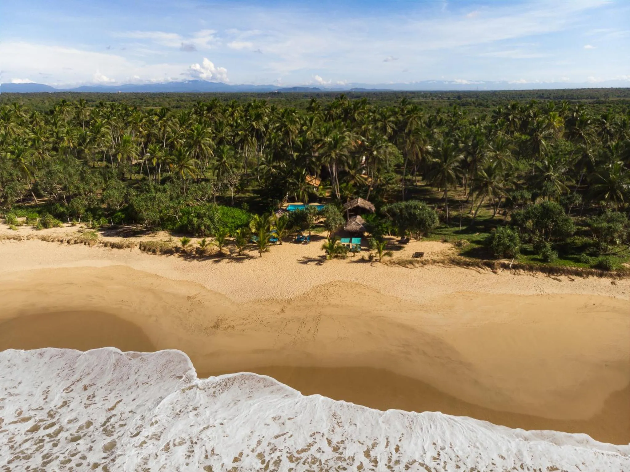 Neighbourhood in Seven Turtles