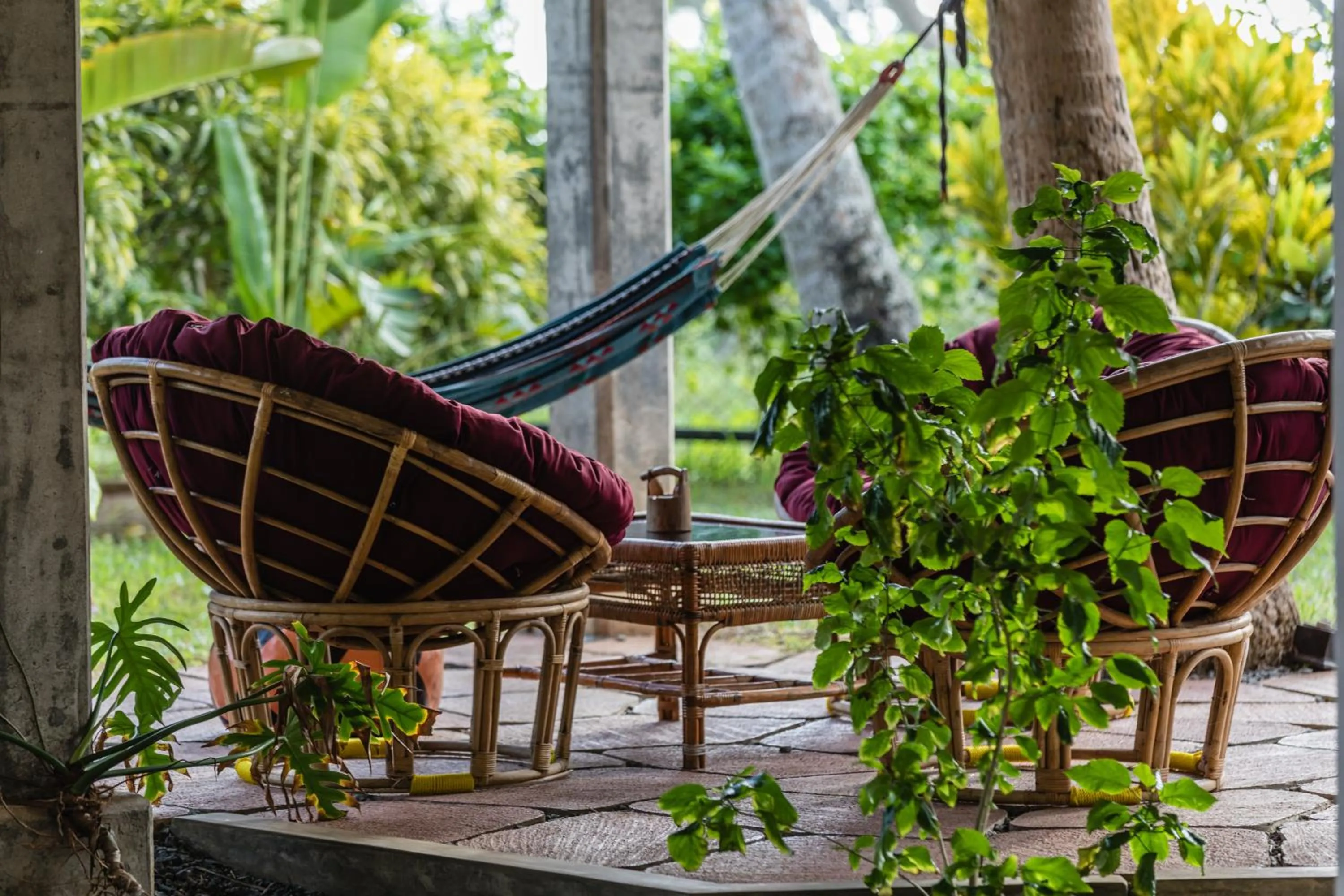 Lounge or bar in Seven Turtles