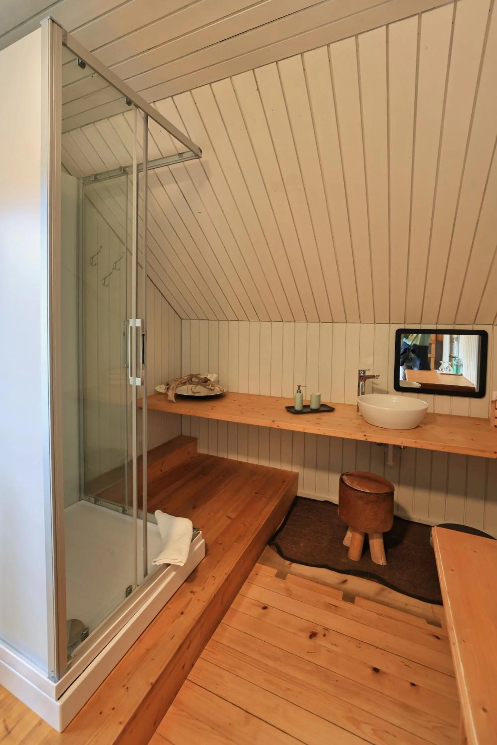 Shower in B&B Langenberg