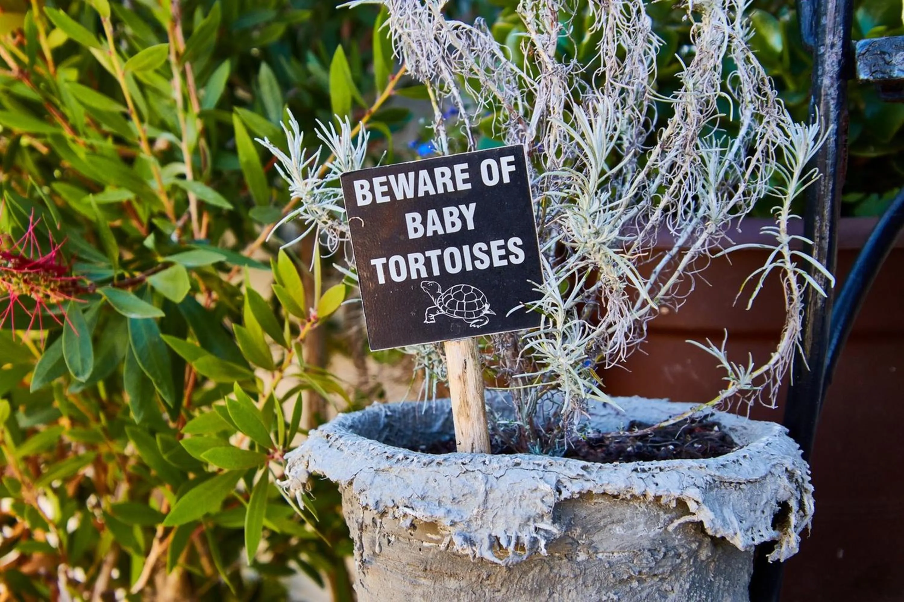 Property building in Gilcrest Place Guest House