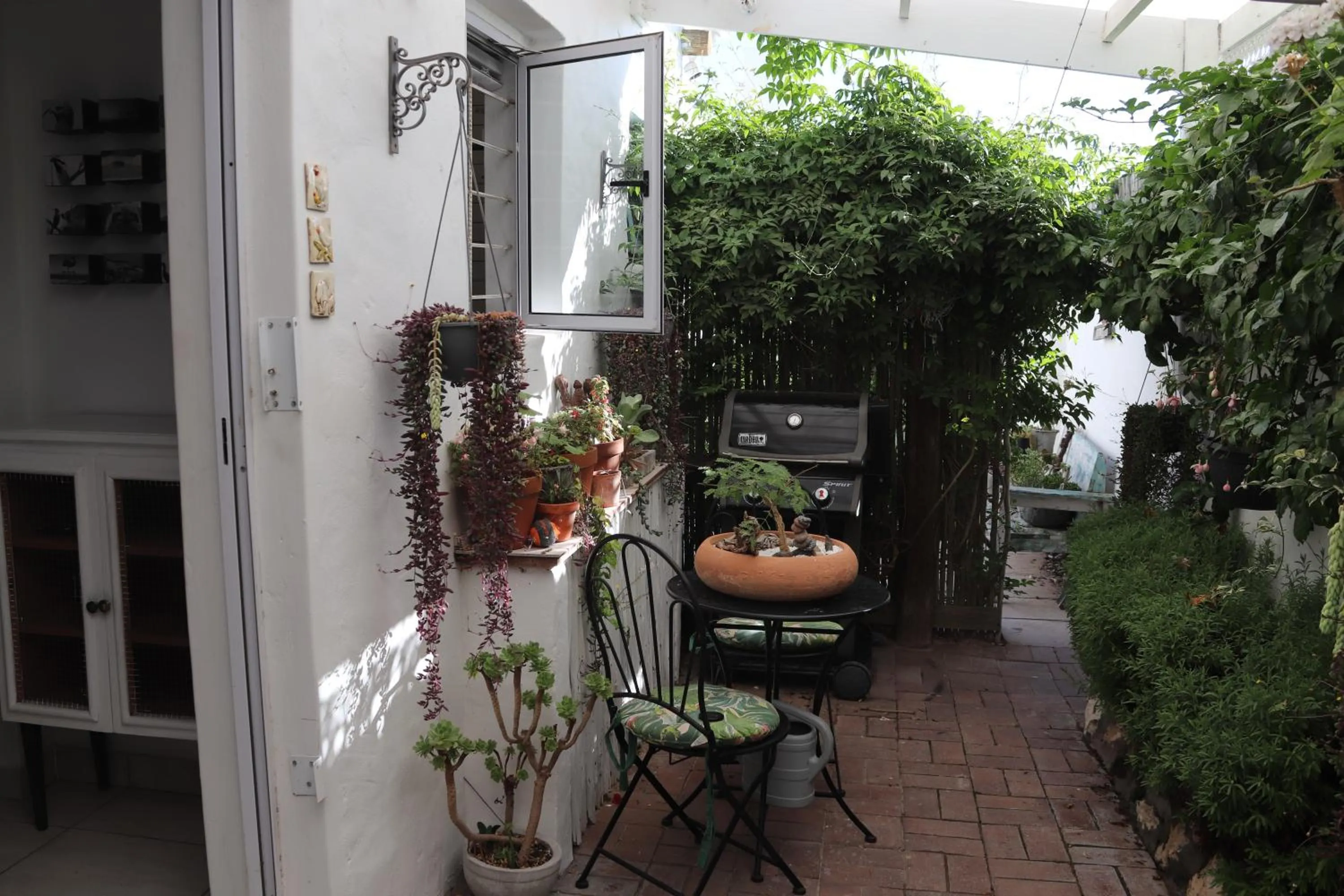 Garden view in Gilcrest Place Guest House