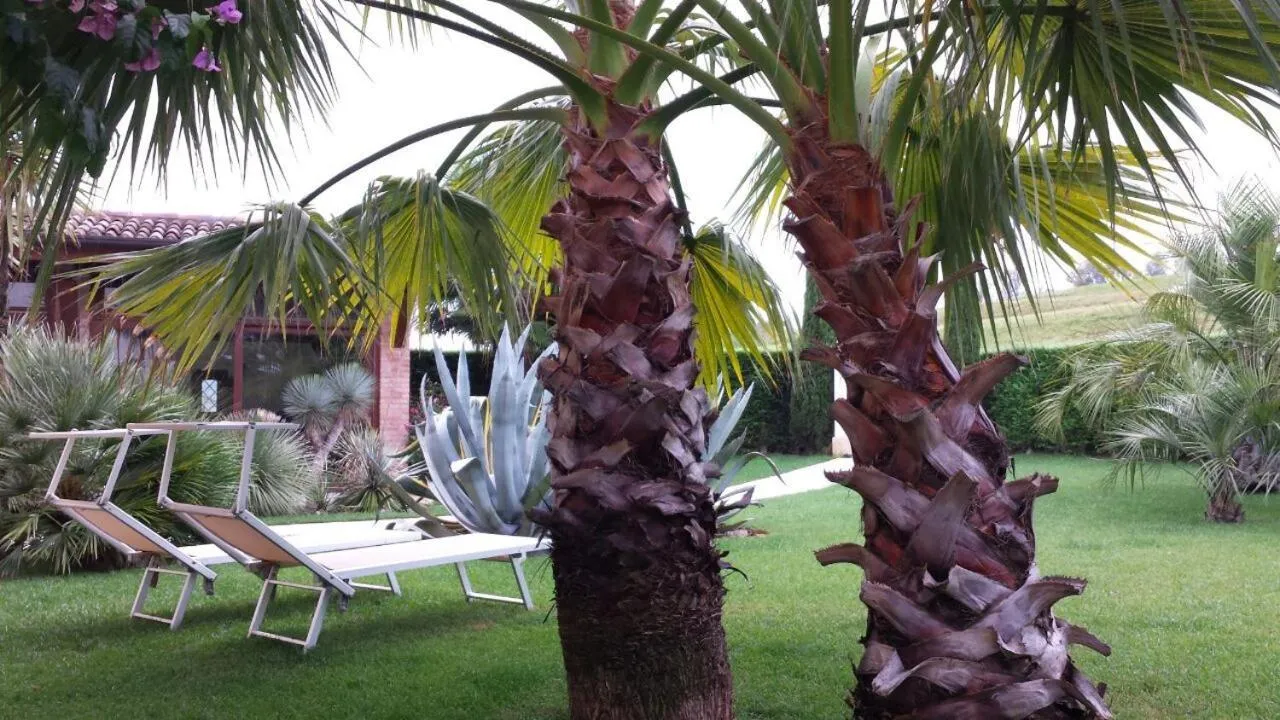 B&B "Corte San Tomaso"