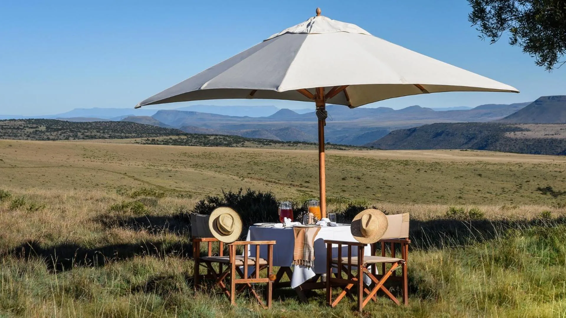 Day in Mount Camdeboo Private Game Reserve by NEWMARK