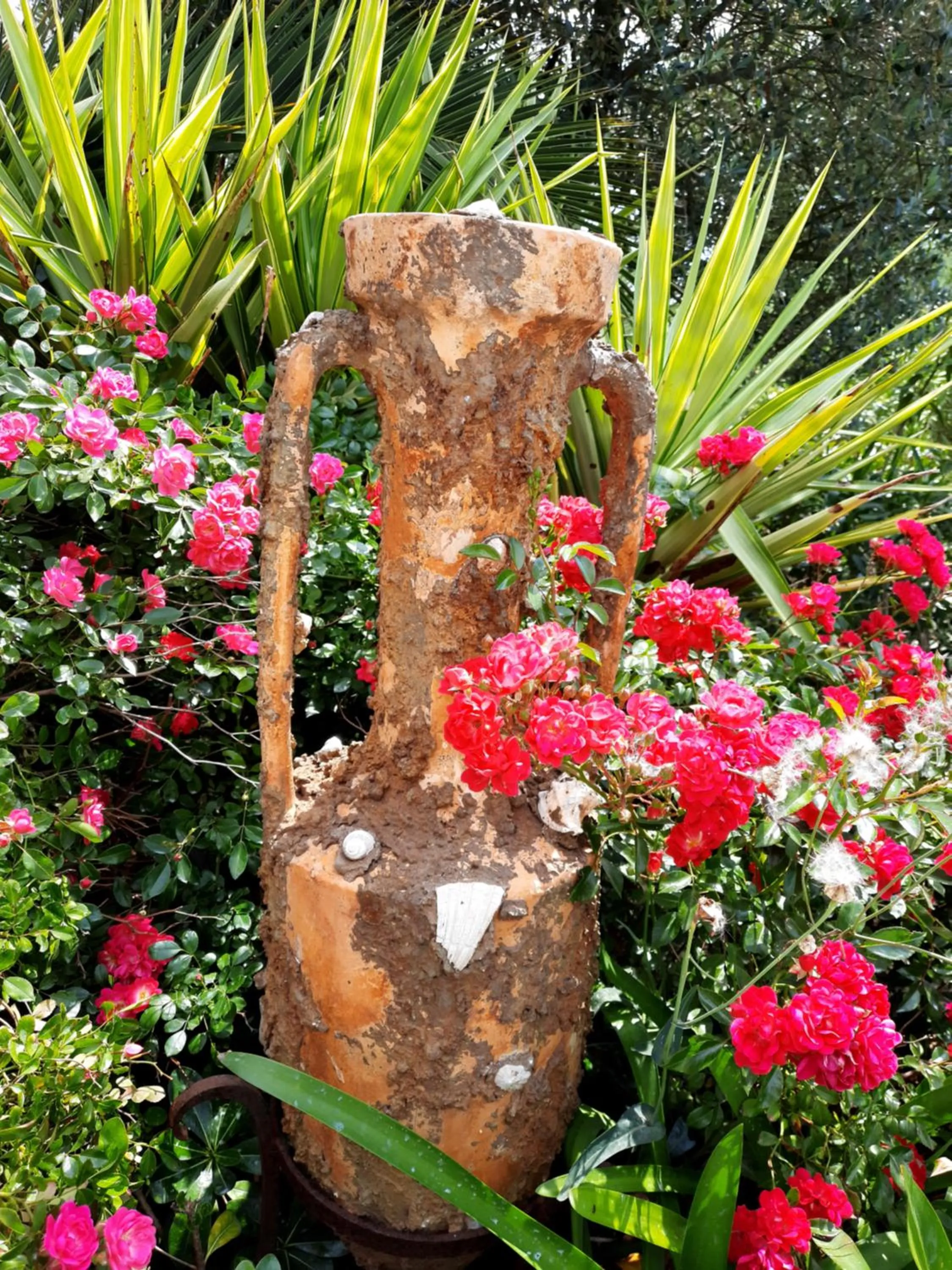 Spring in L Olivadou B&B