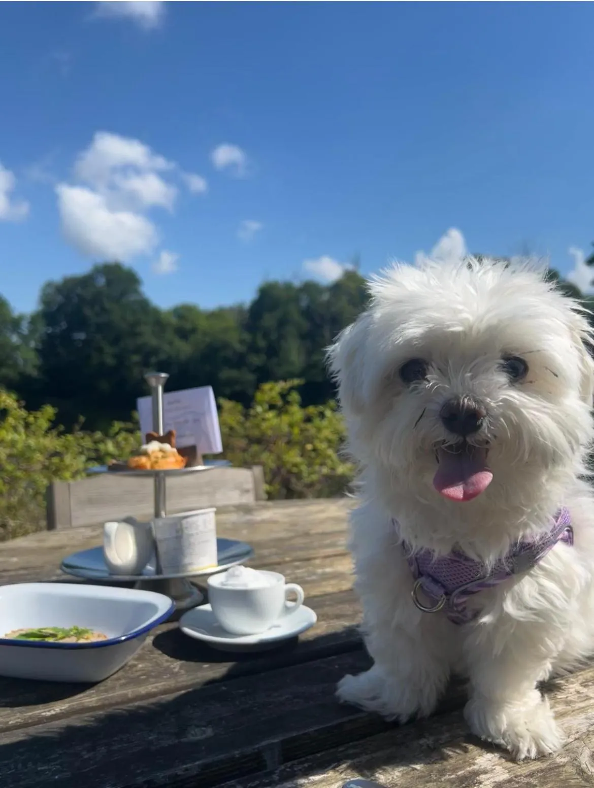 Food in Inn On The Lake