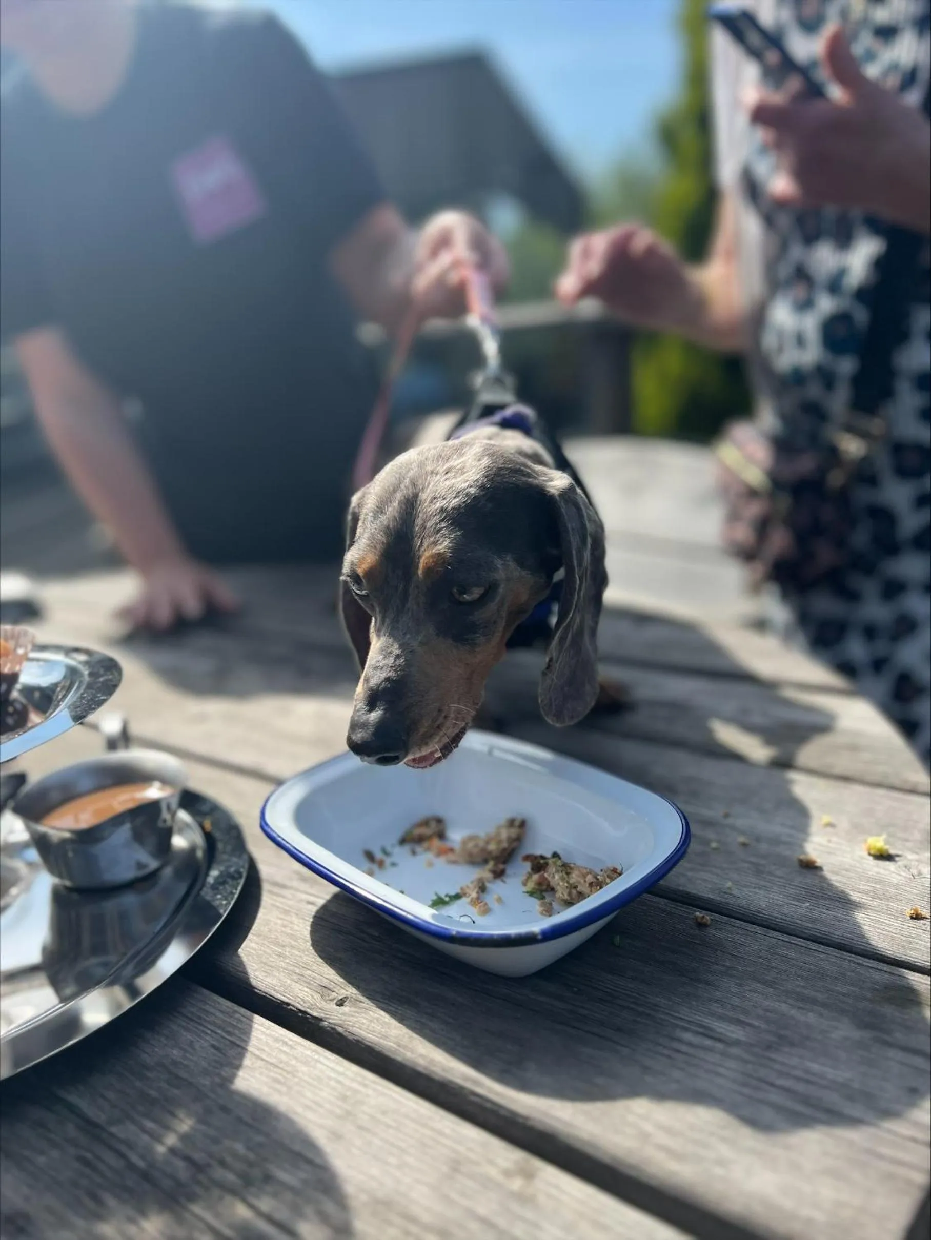 pet friendly in Inn On The Lake