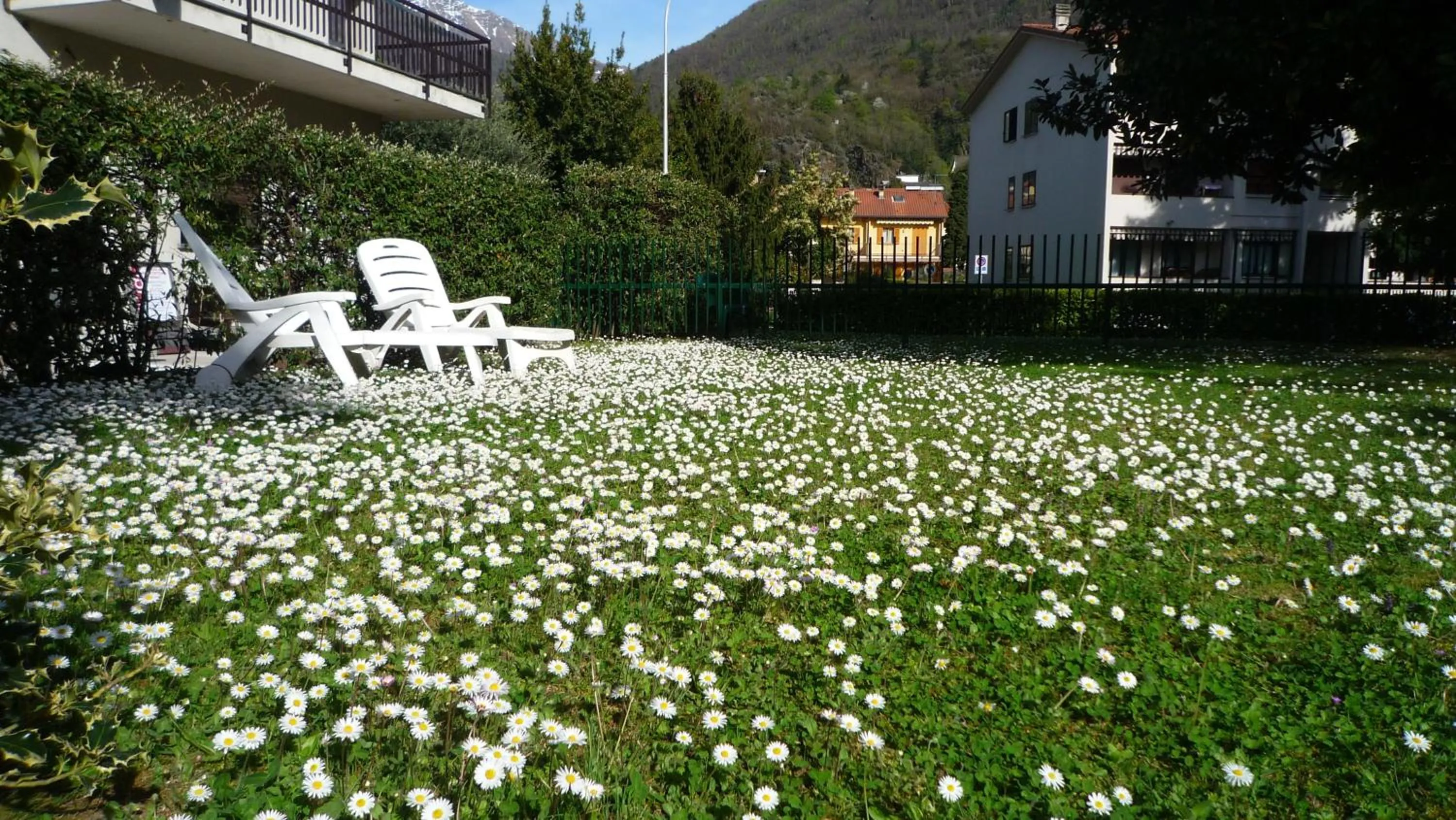Day in Il girasole
