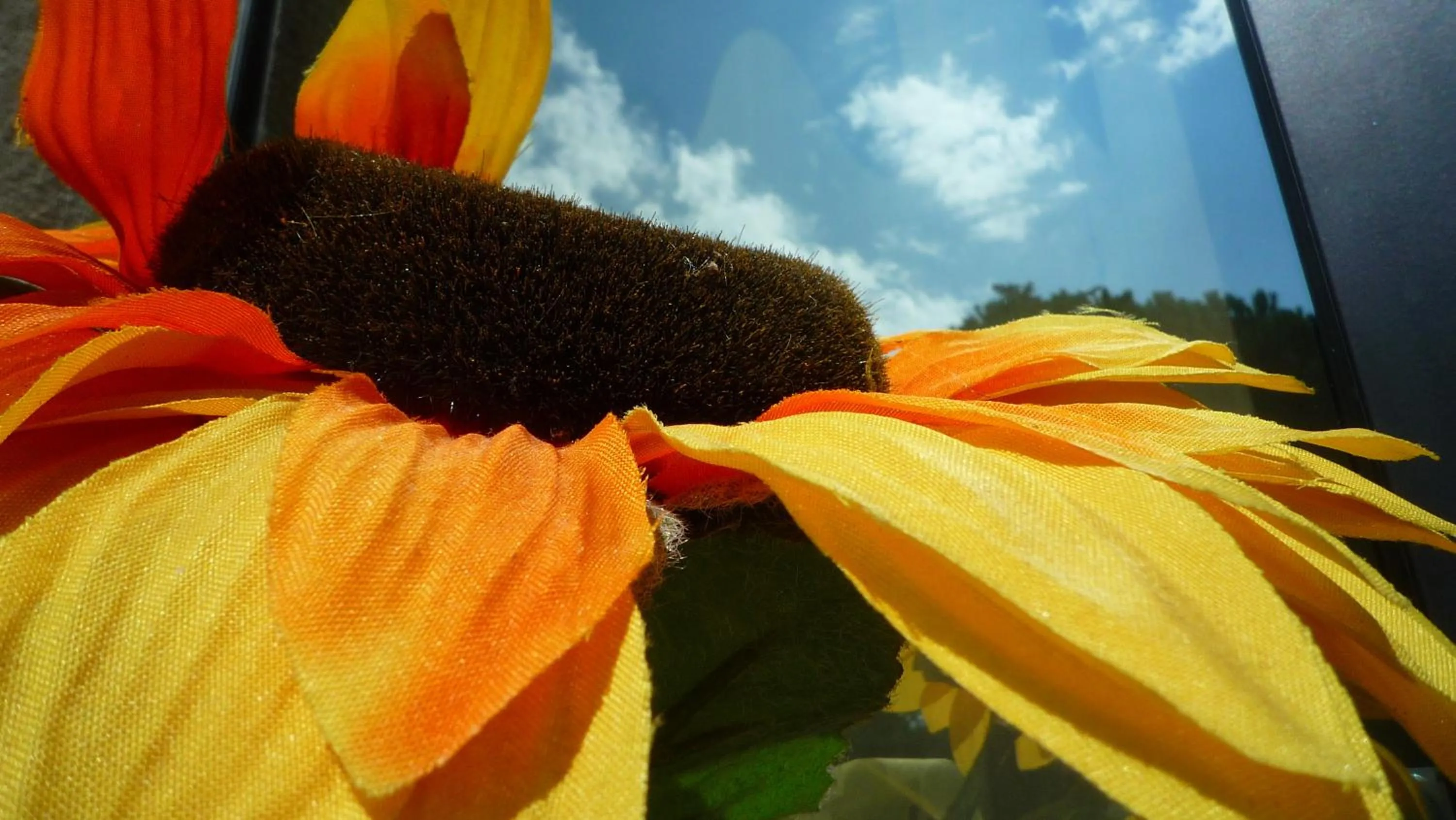 Other in Il girasole