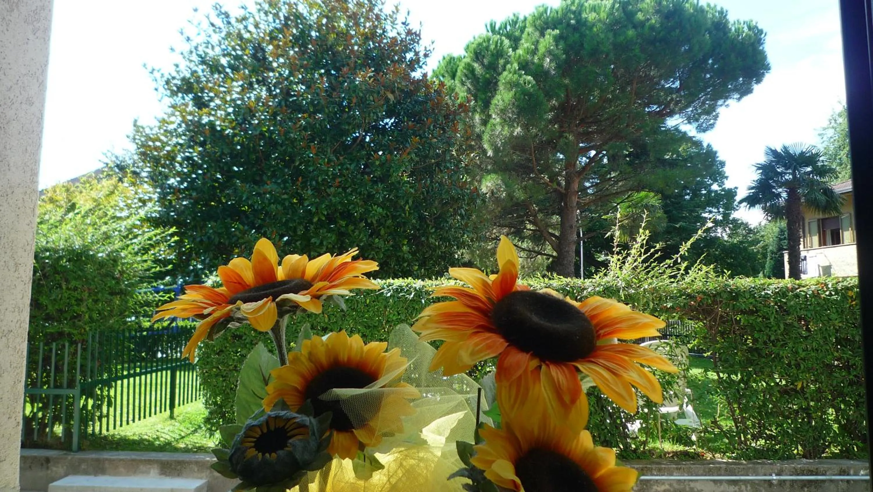Day in Il girasole