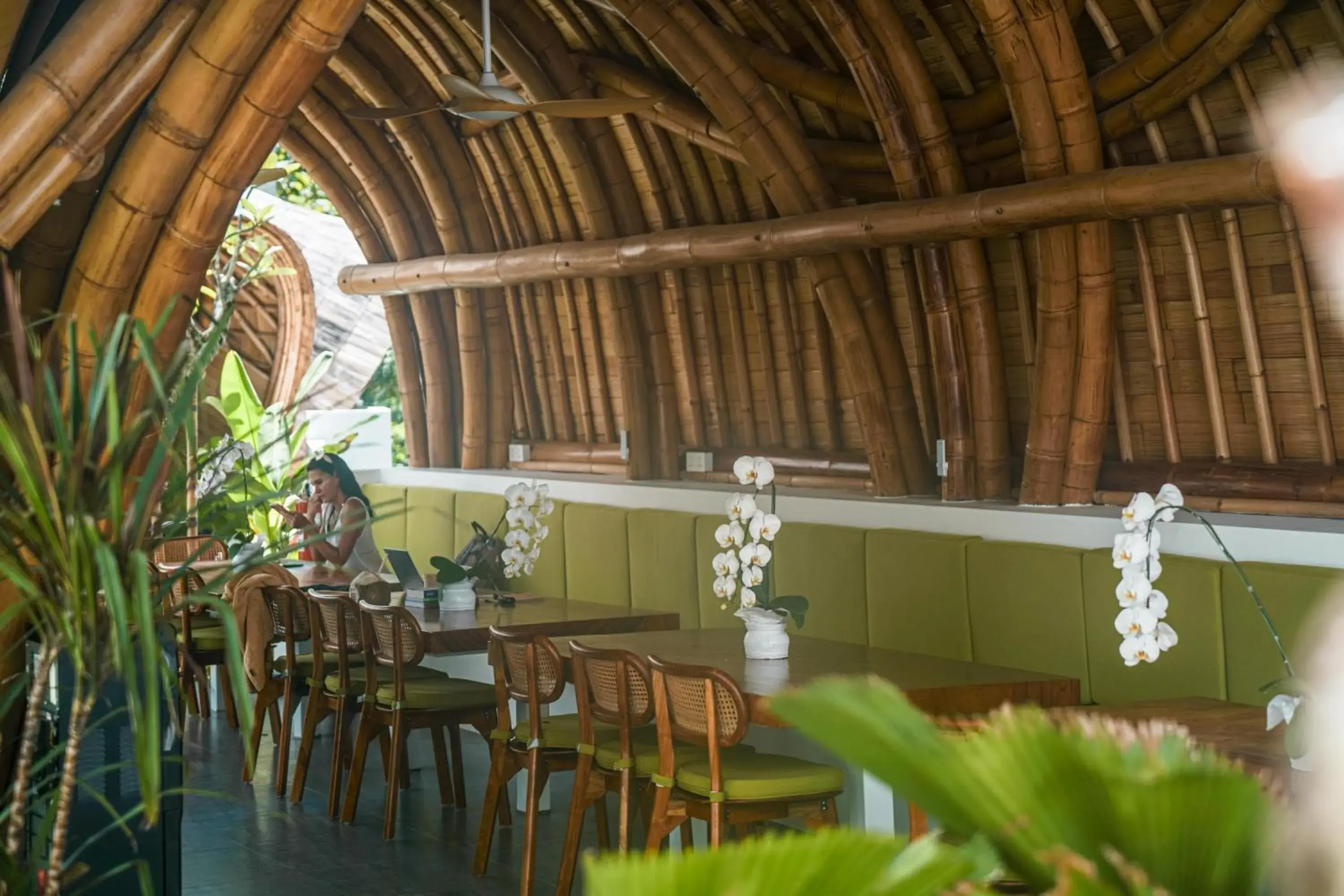 Restaurant/places to eat in Mantra Wellness Center Restaurant/places to eat in Mantra Wellness Center