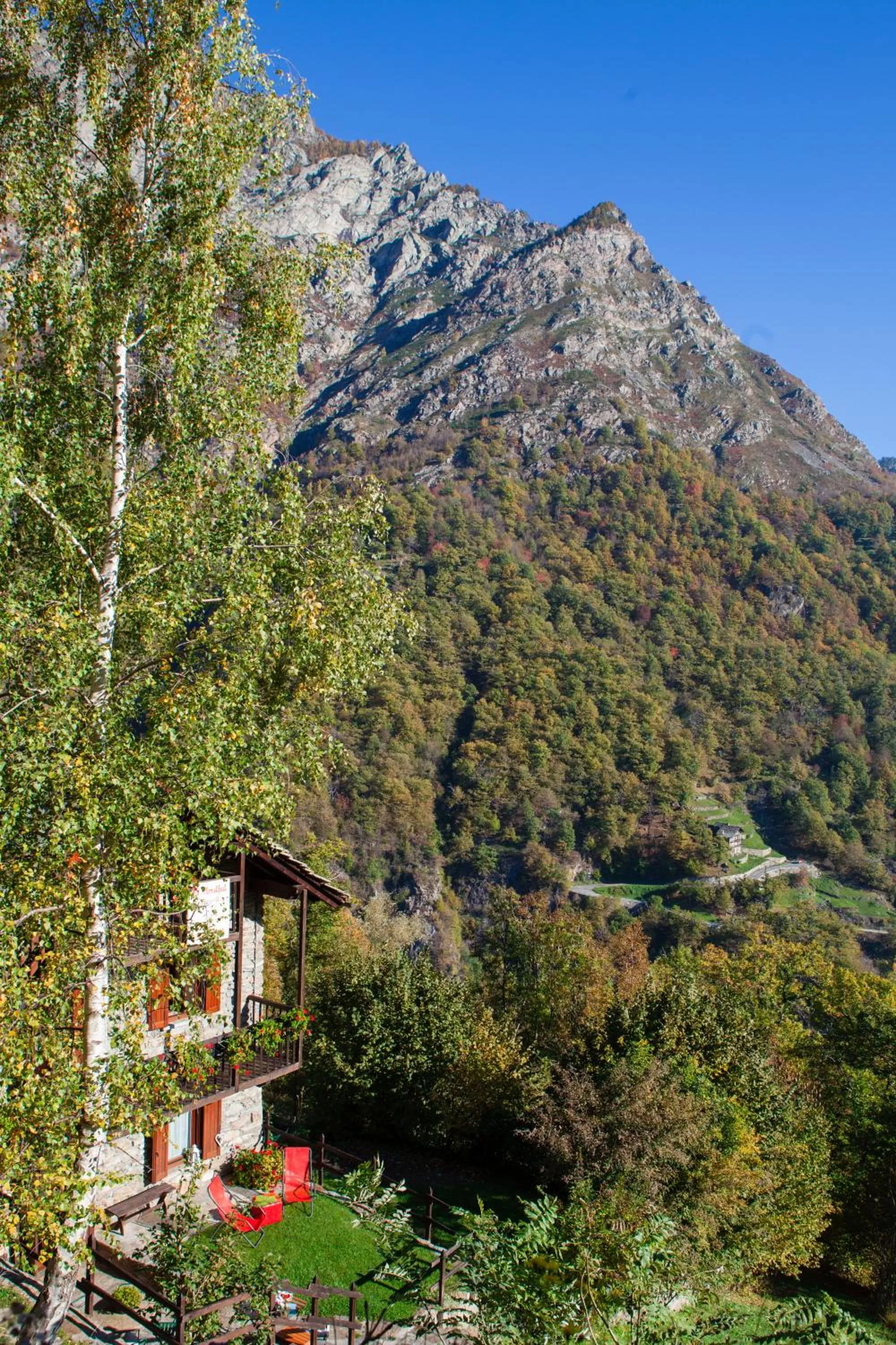 View (from property/room) in B&B Marcellina