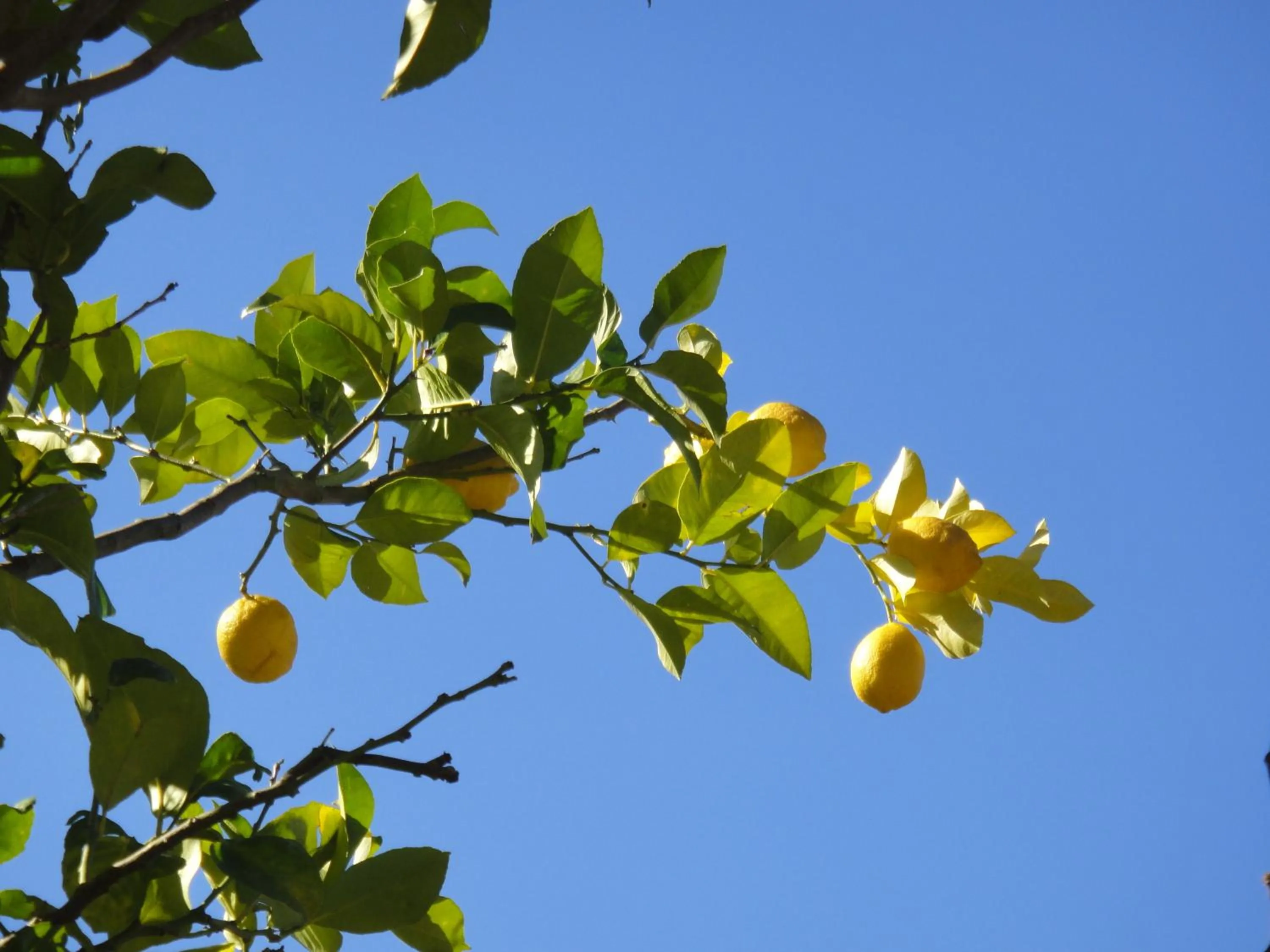 Other in Menes Hotel