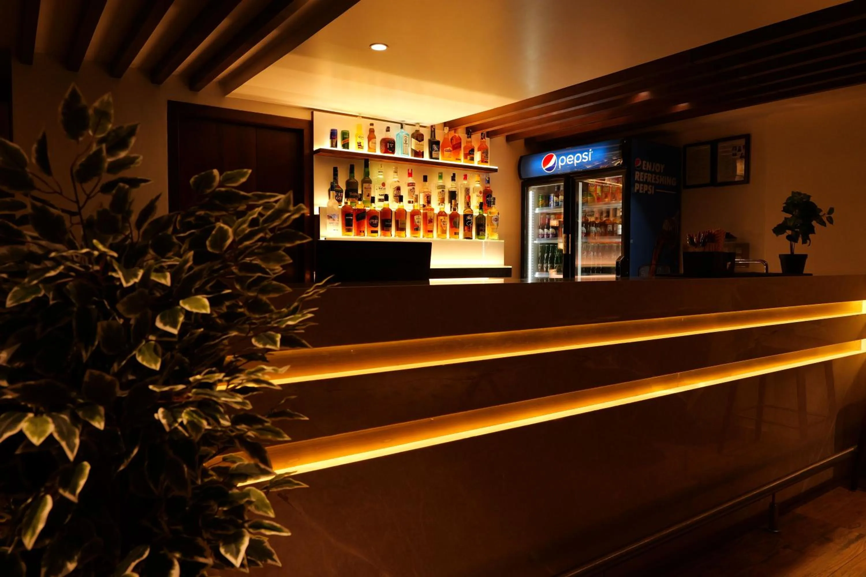 Lounge or bar in UVA MANISH