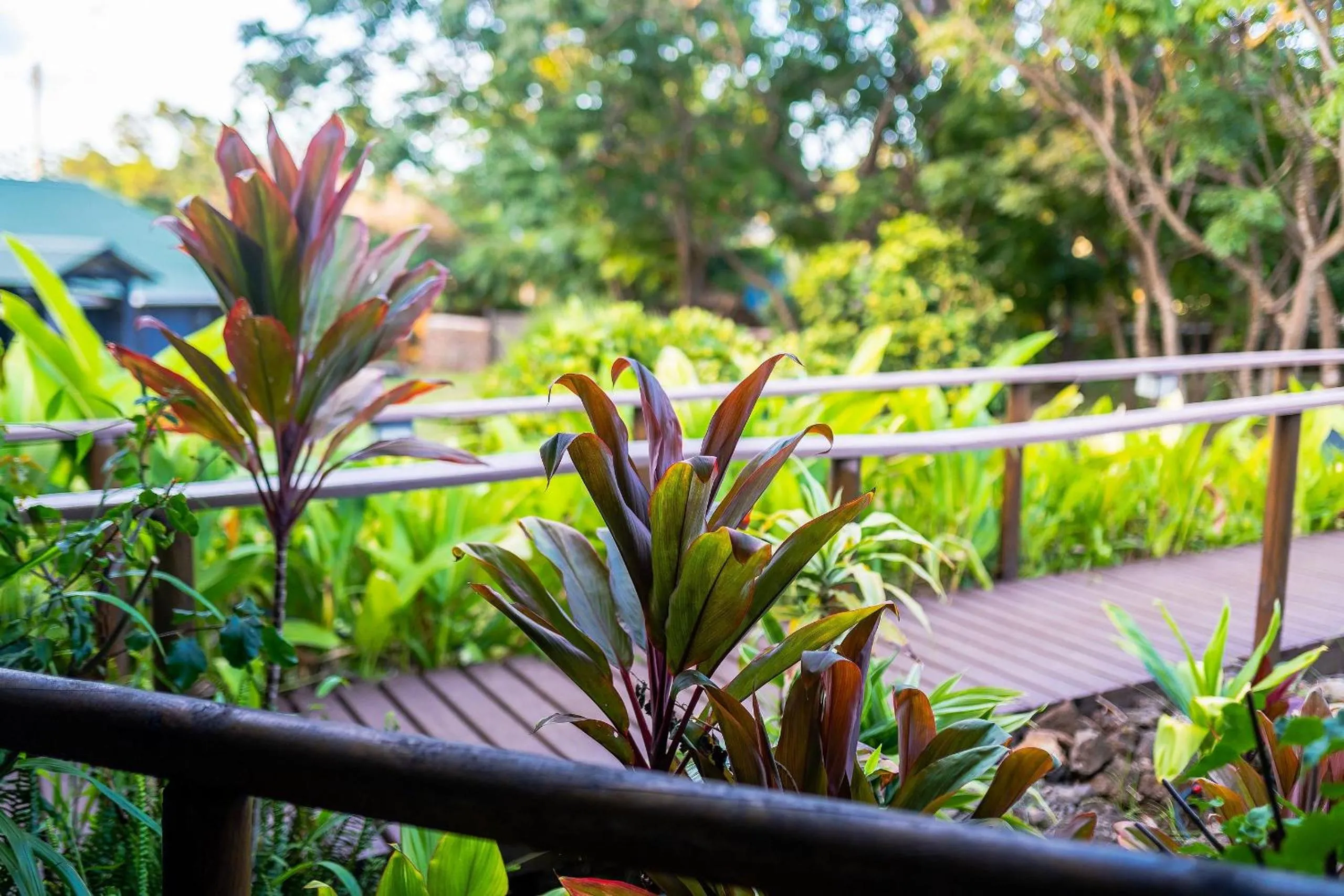 Garden in Cabañas Raupa