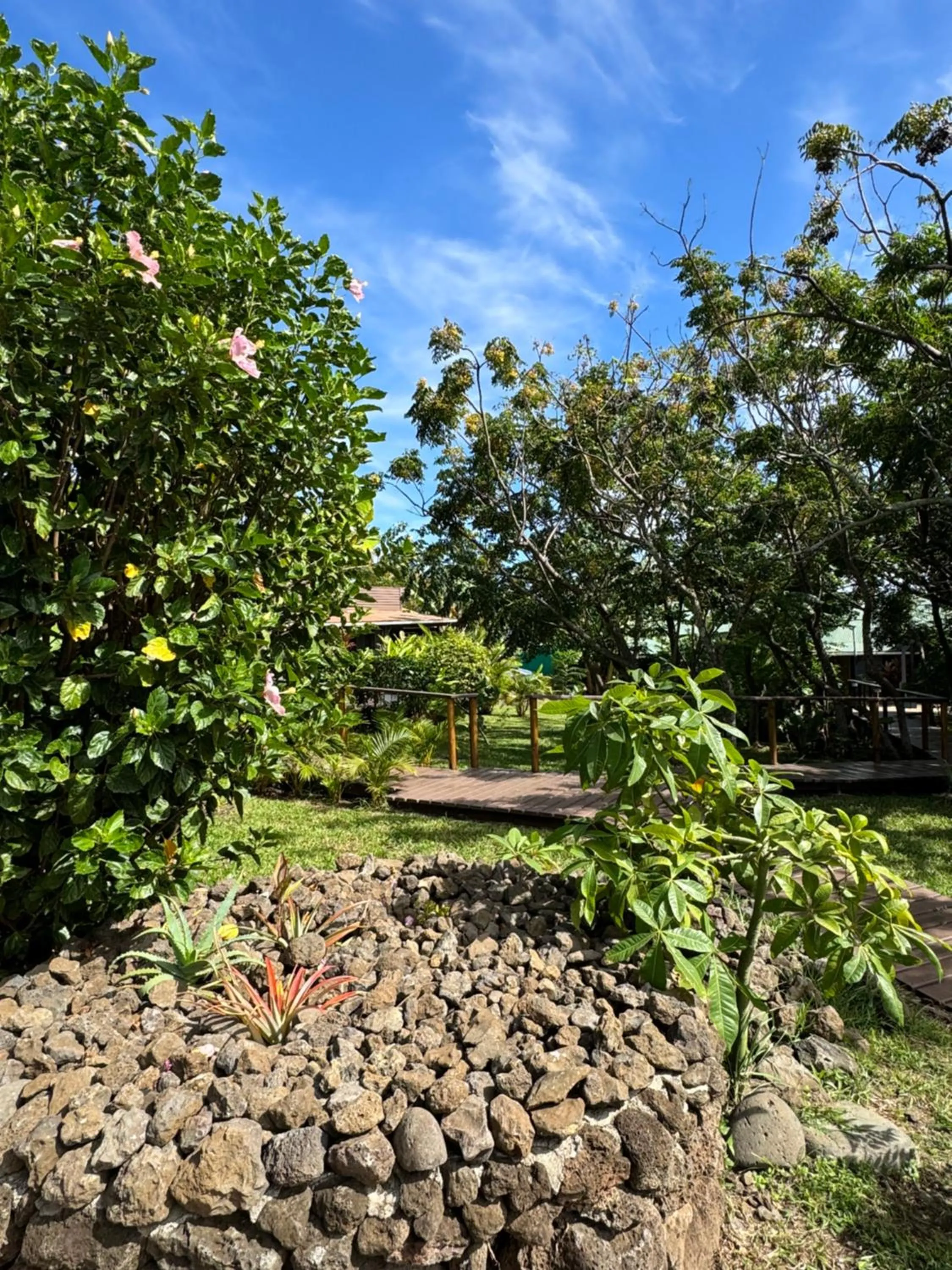 Garden view in Cabañas Raupa
